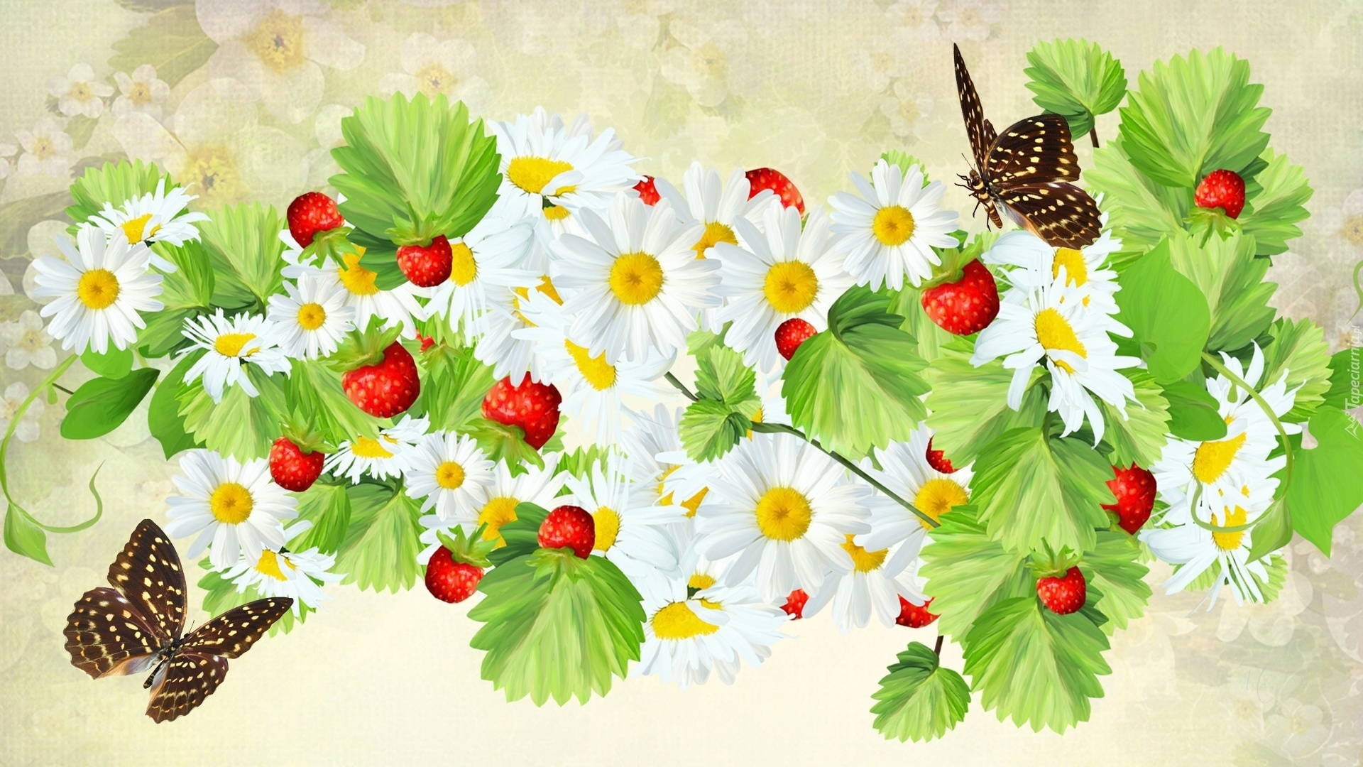 Grafika, 2D, Poziomki, Motylki
