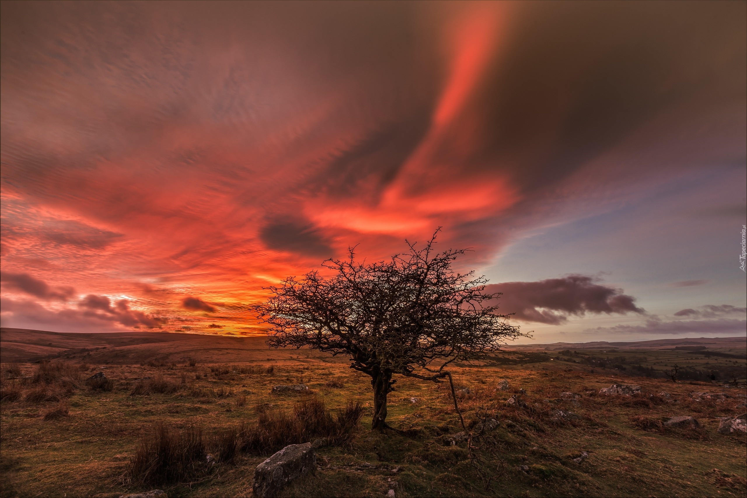 Anglia, Park Narodowy Dartmoor, Zachód Słońca, Łąki, Chmury, Drzewo, Kamienie