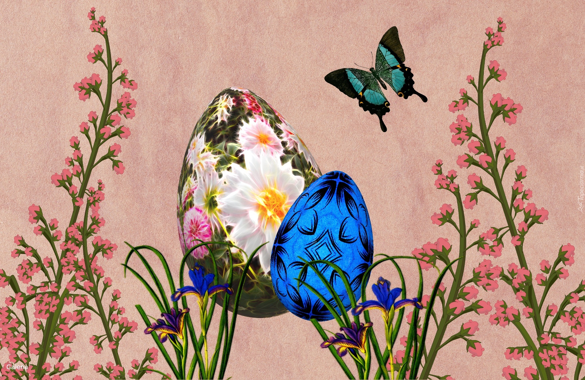 Kwiaty, Jajka, Motyl, Grafika, Wielkanoc