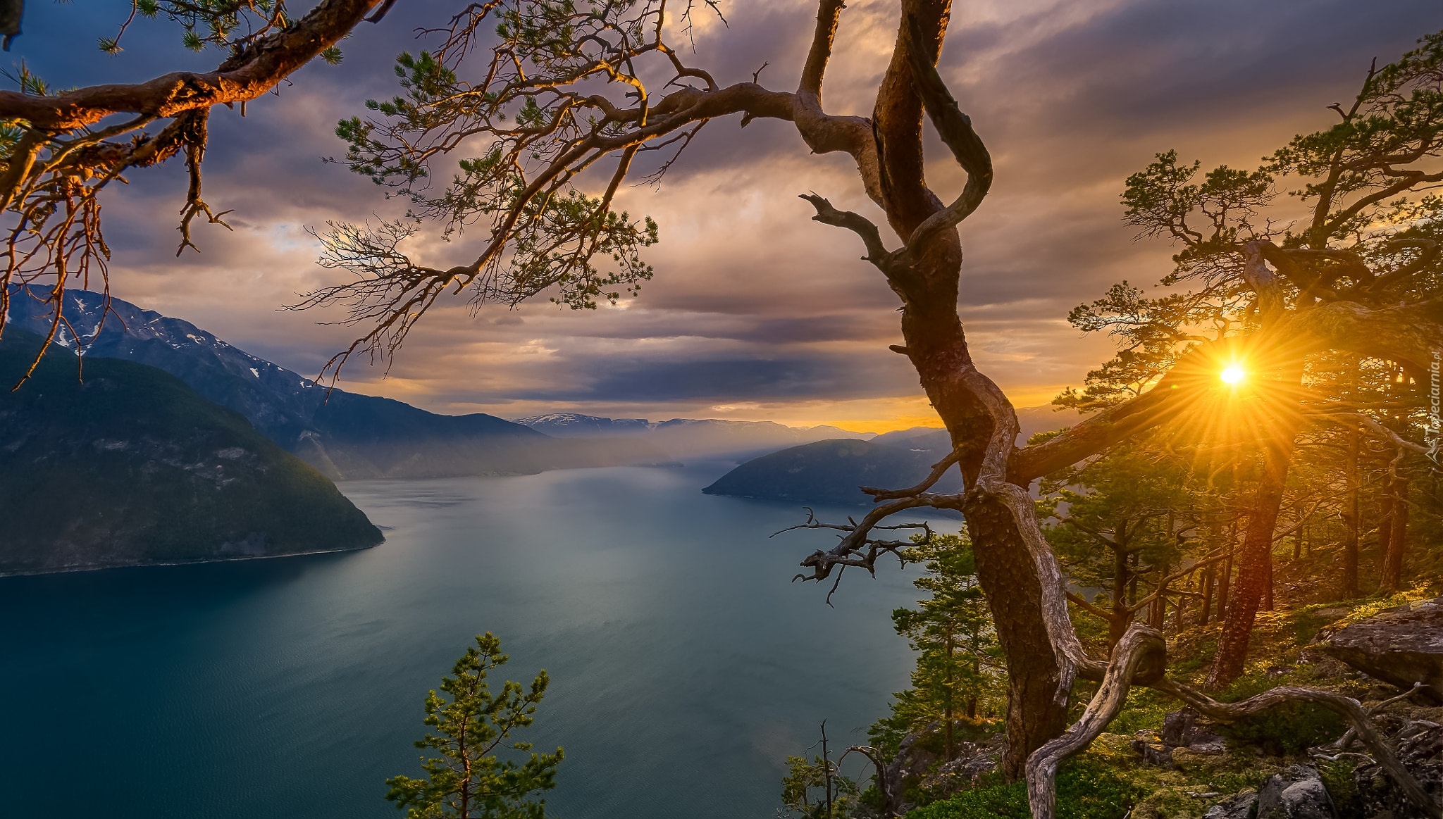 Promienie Słońca, Fiord, Norwegia, Drzewa