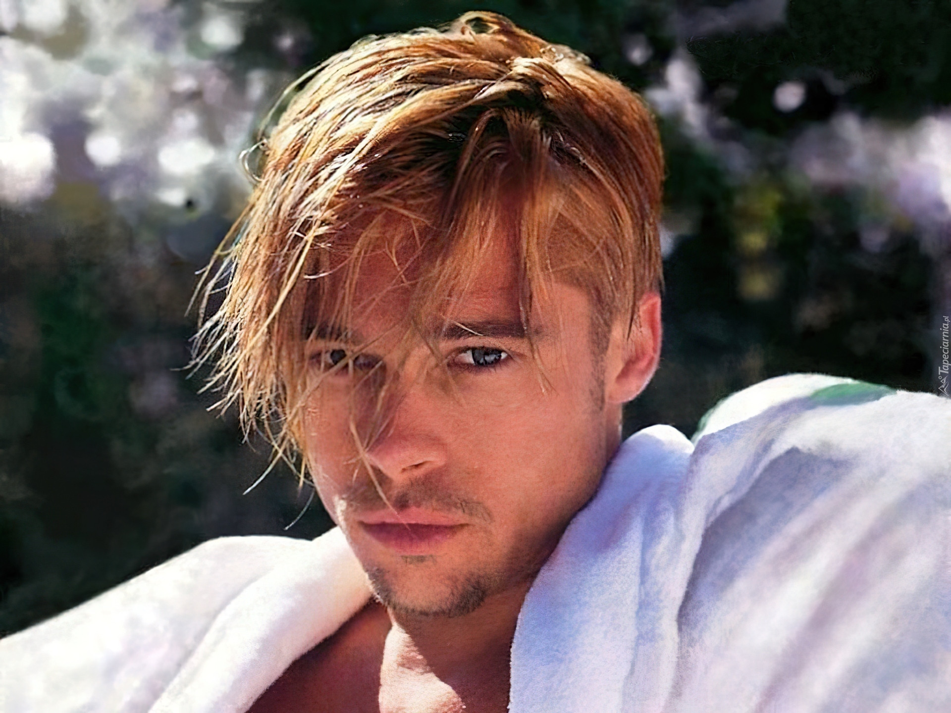 Brad Pitt,blond, włosy