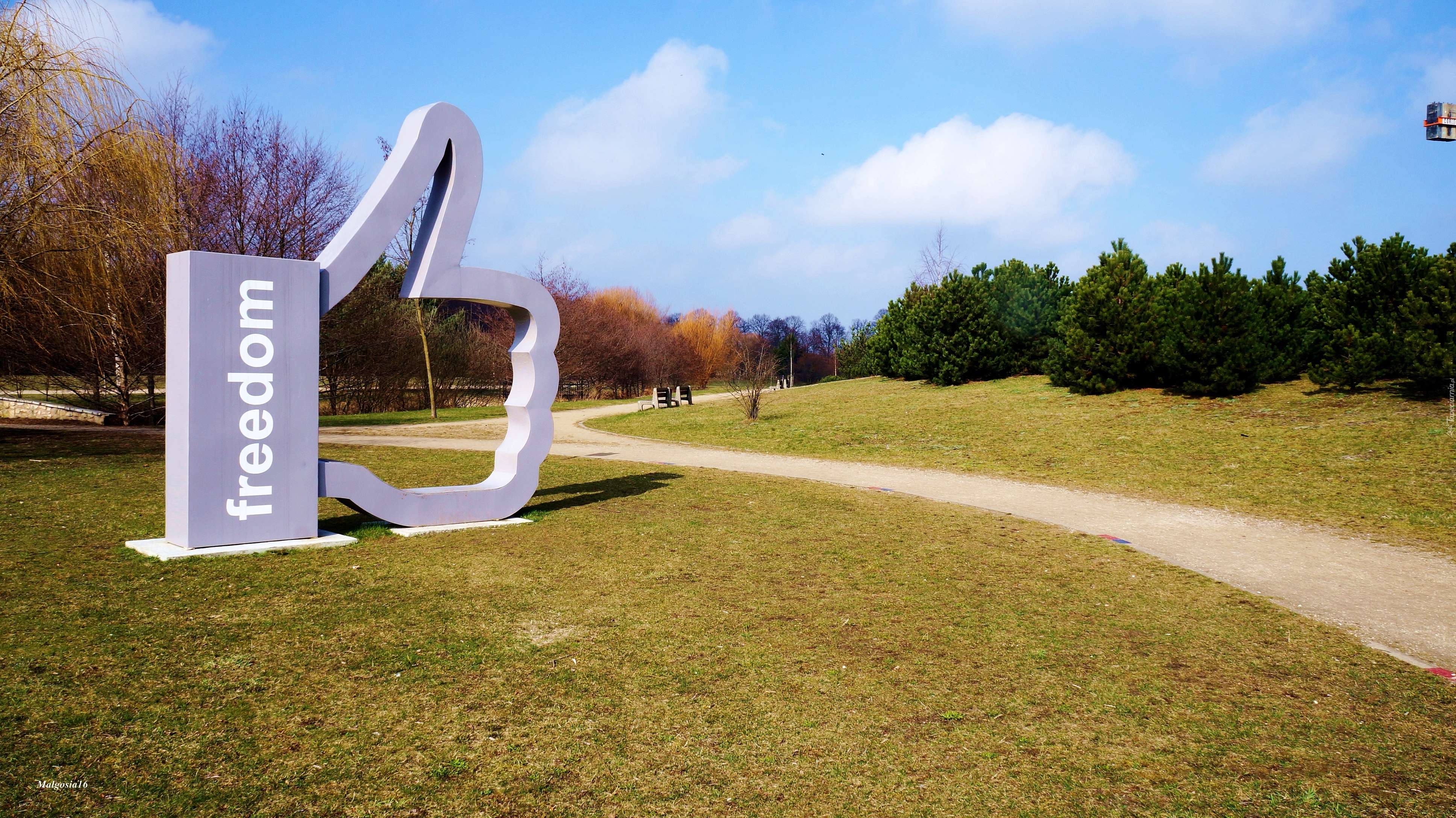 Park, Instalacja Artystyczna, Freedom, Ścieżka