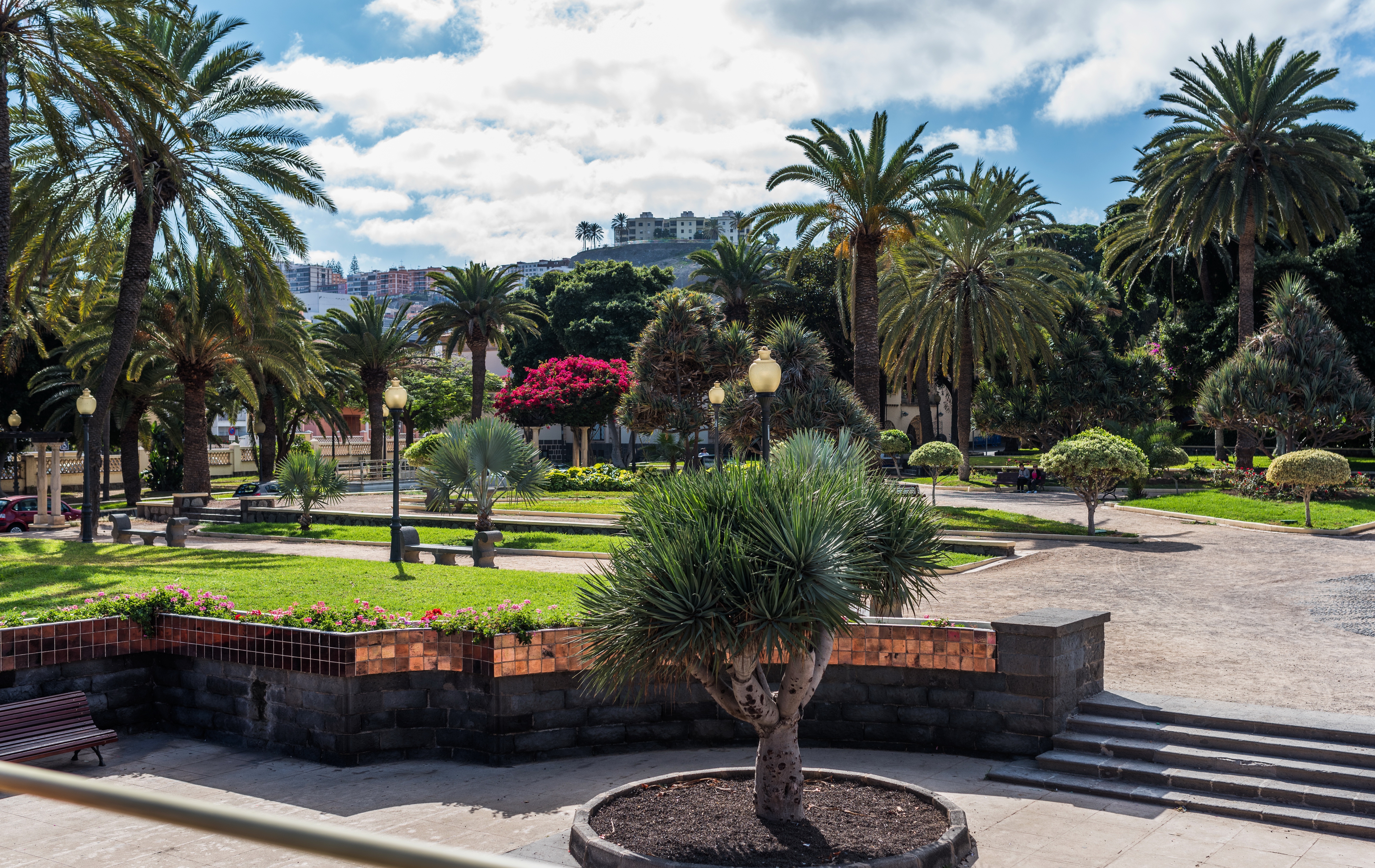 Park, Hiszpania, Las Palmas