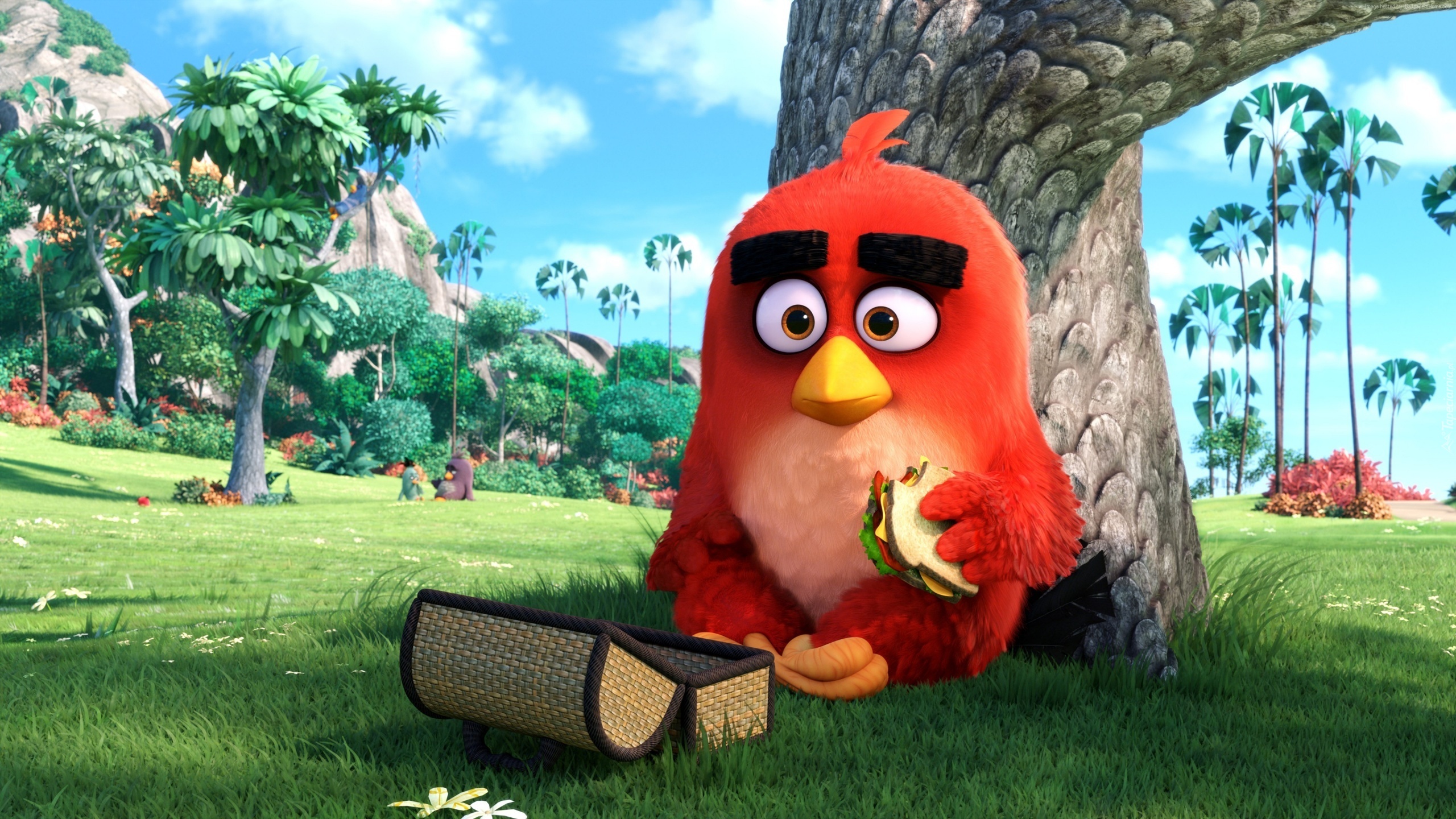 Film, Komputerowe, Angry Birds