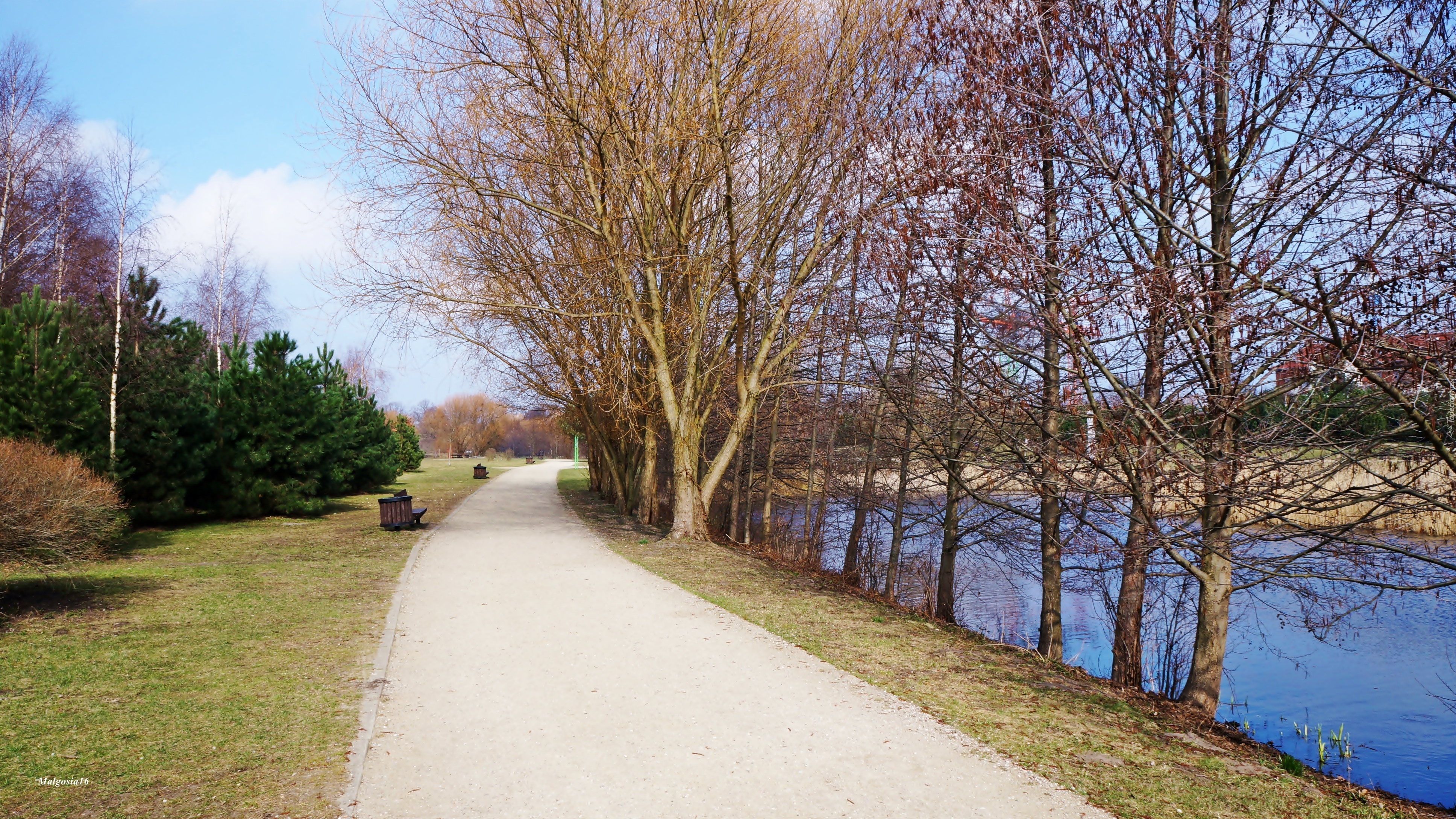 Polska, Gdańsk, Park im. Ronalda Reagana, Droga, Drzewa, Jeziorko