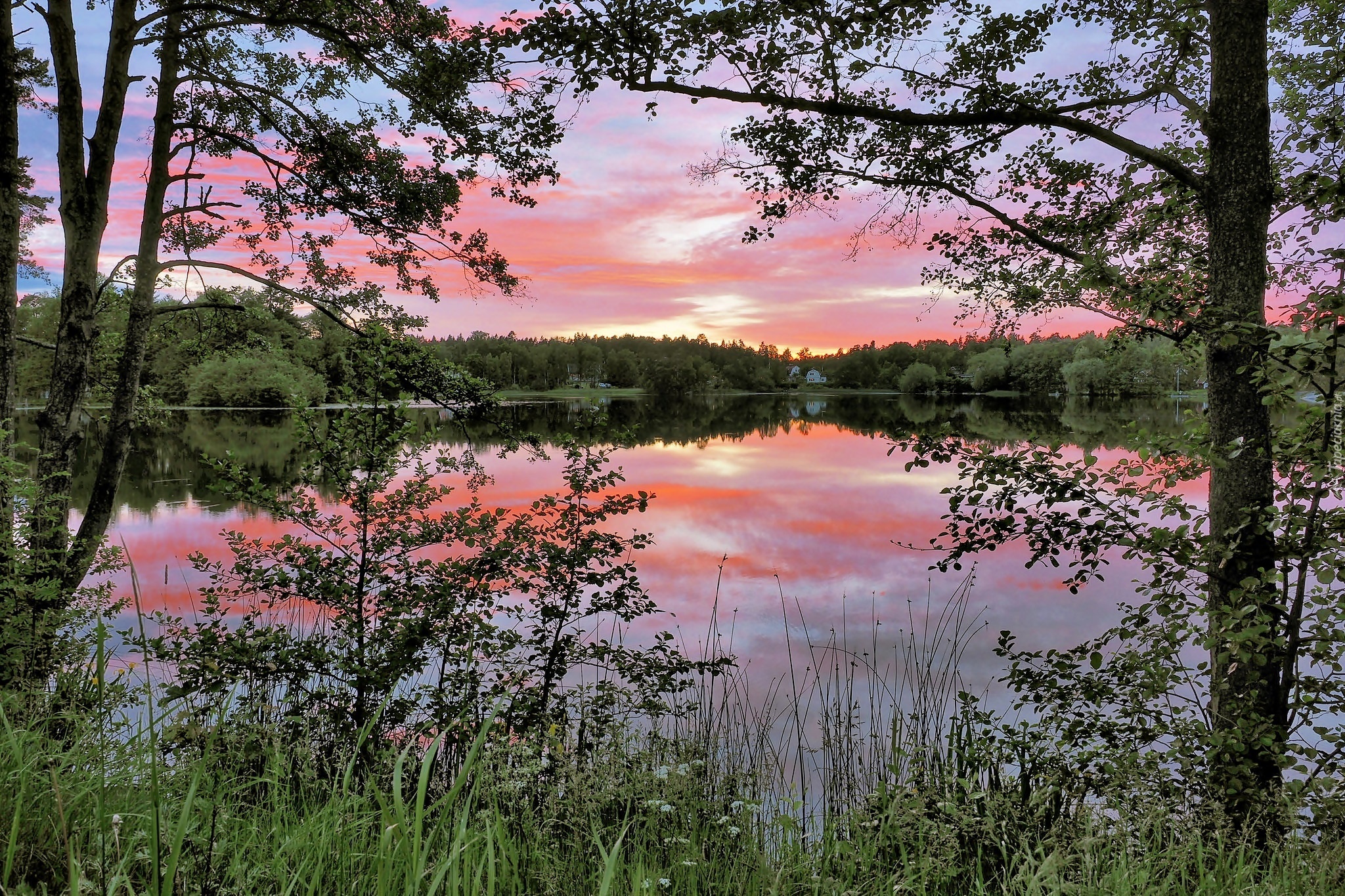 Jezioro, Las, Świt, Nacka, Szwecja