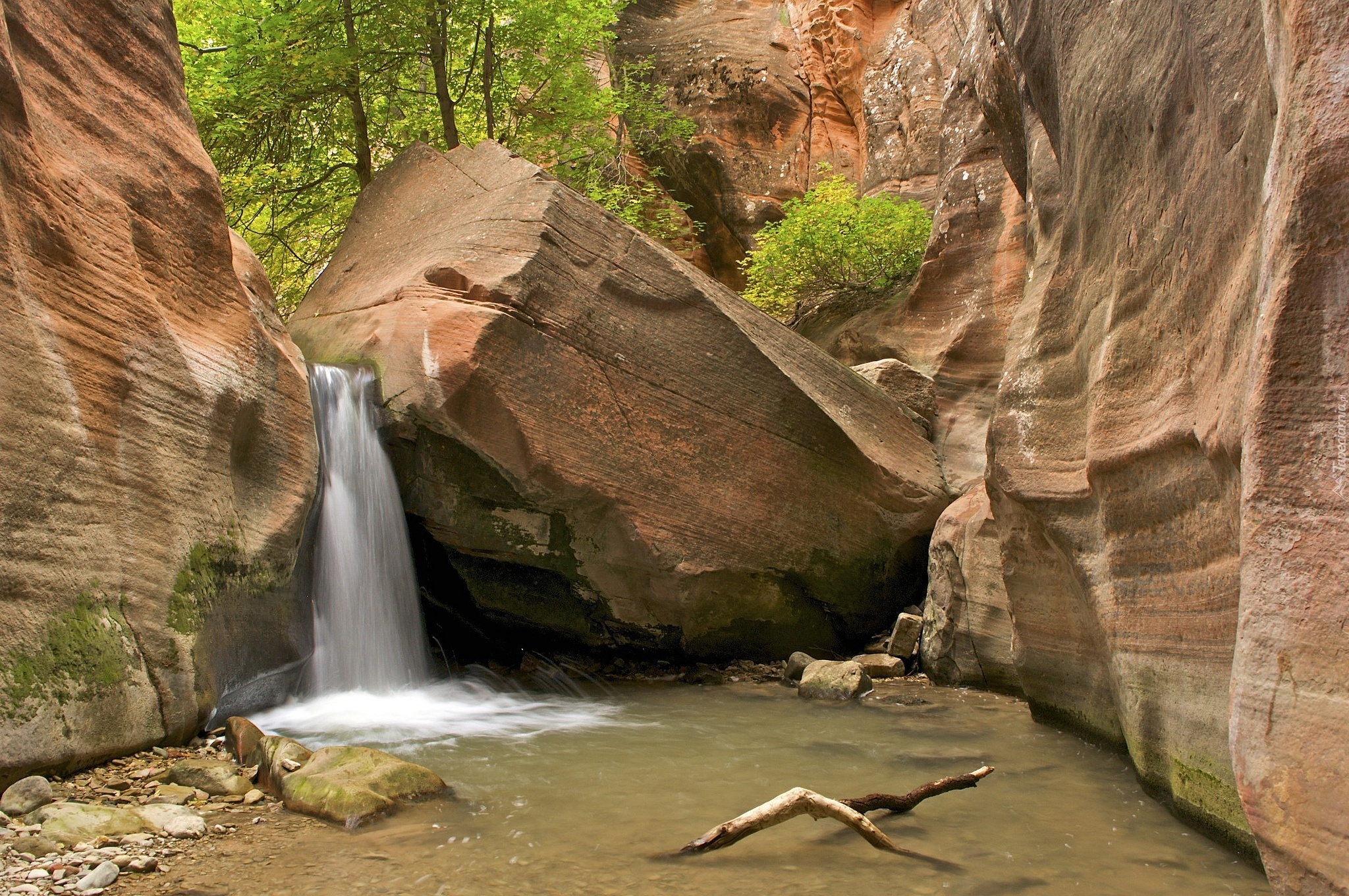 Zion National Park Utah, USA, Wodospad