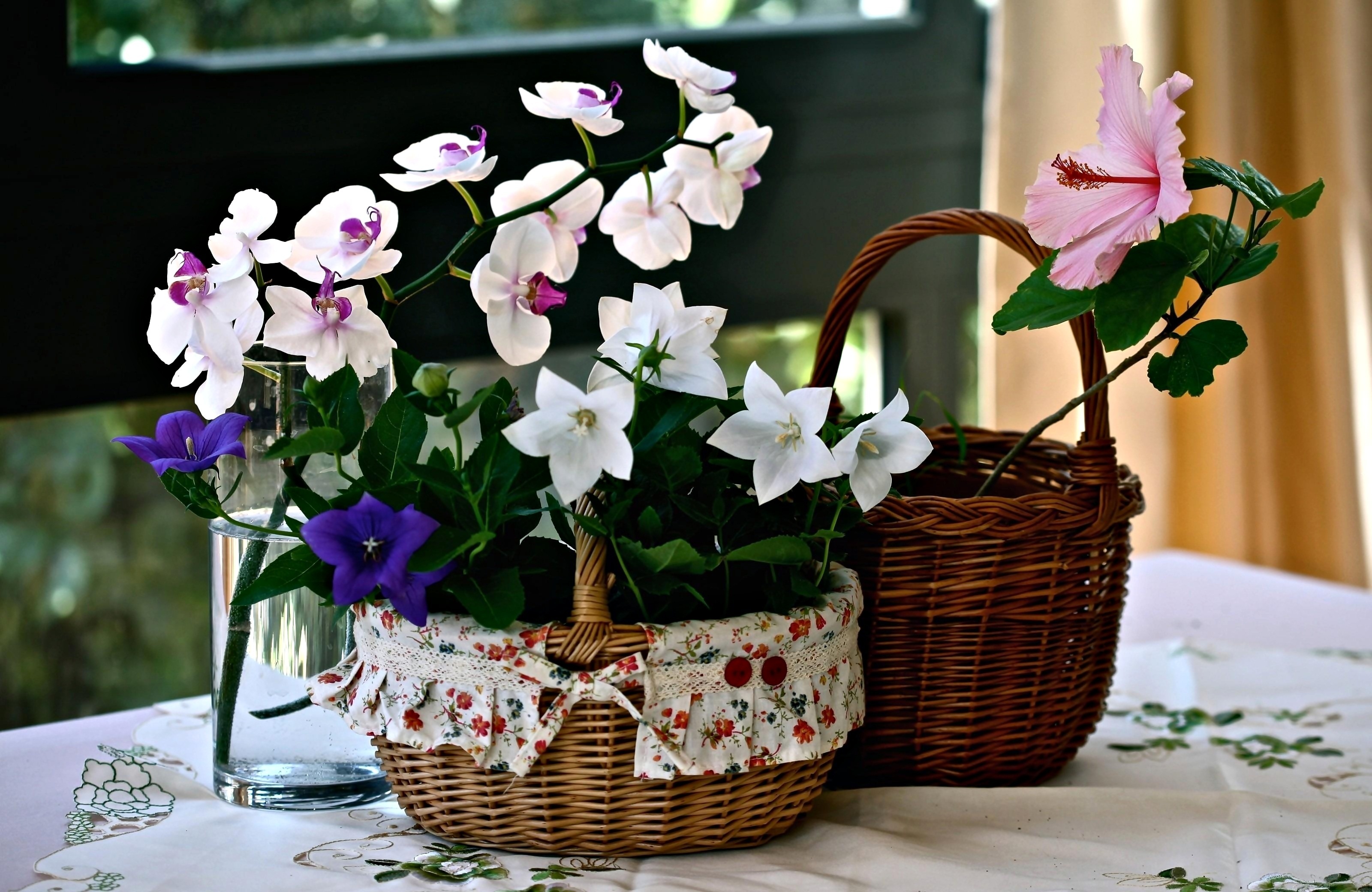 Kompozycja, Kosze, Kwiaty, Dzwonki, Hibiskus, Orchidea
