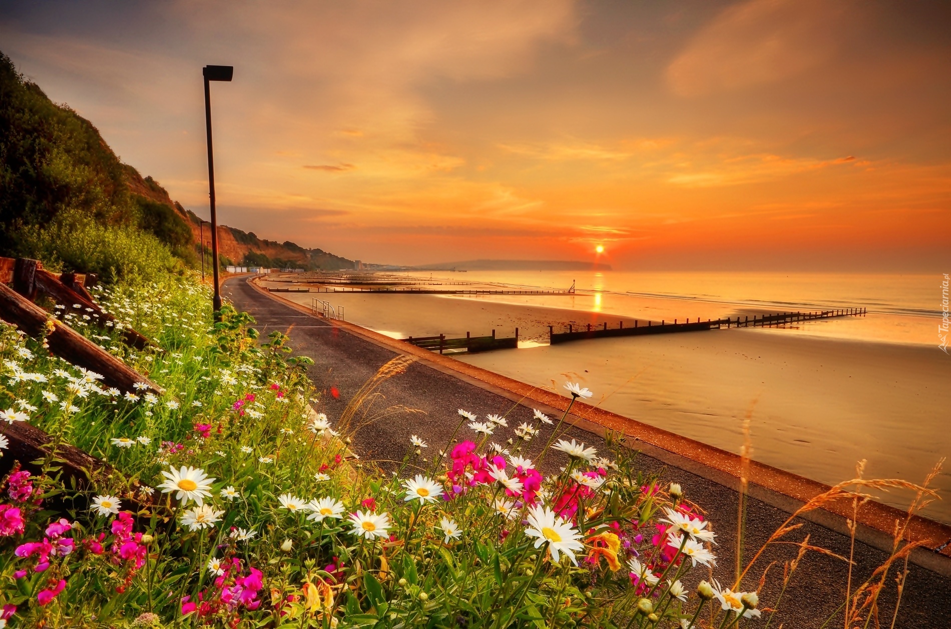 Zatoka, Sandown Bay, Plaża, Morze, Wschód Słońca, Anglia