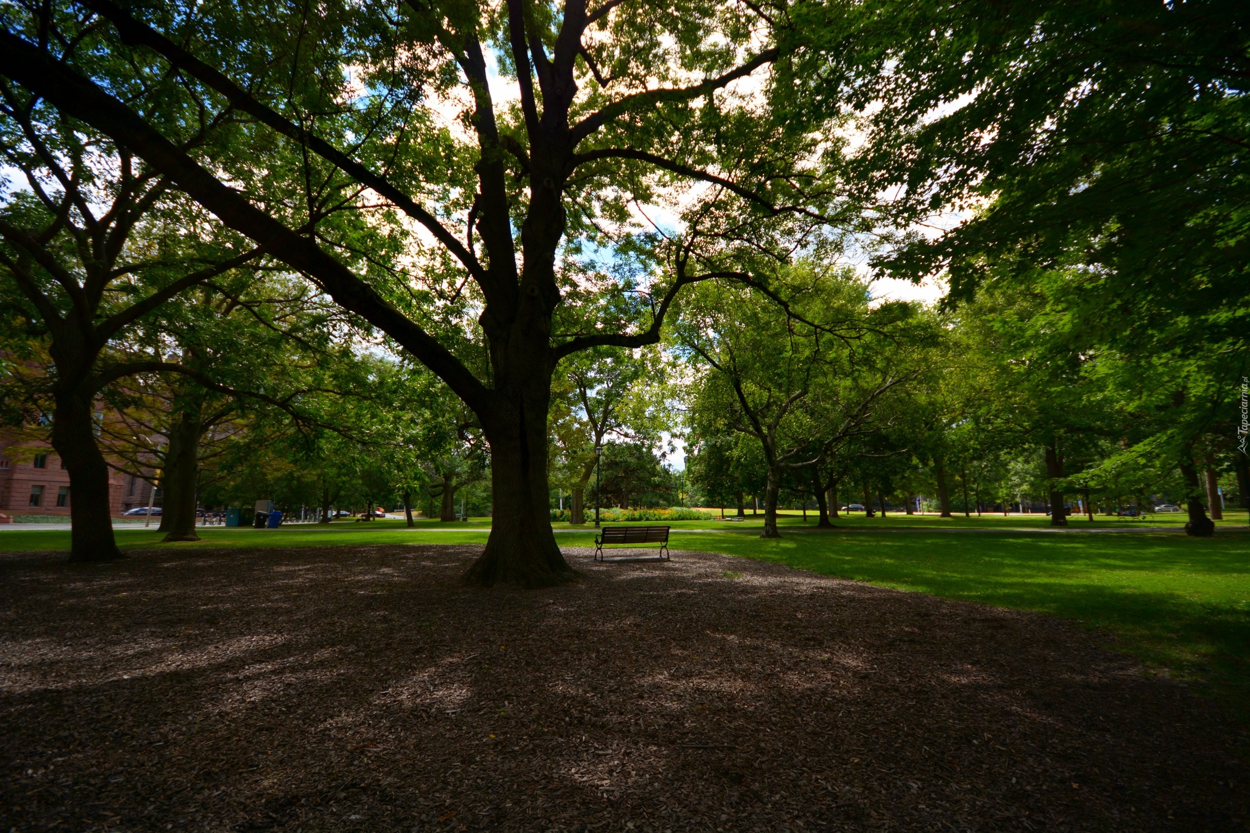 Queens park, Toronto