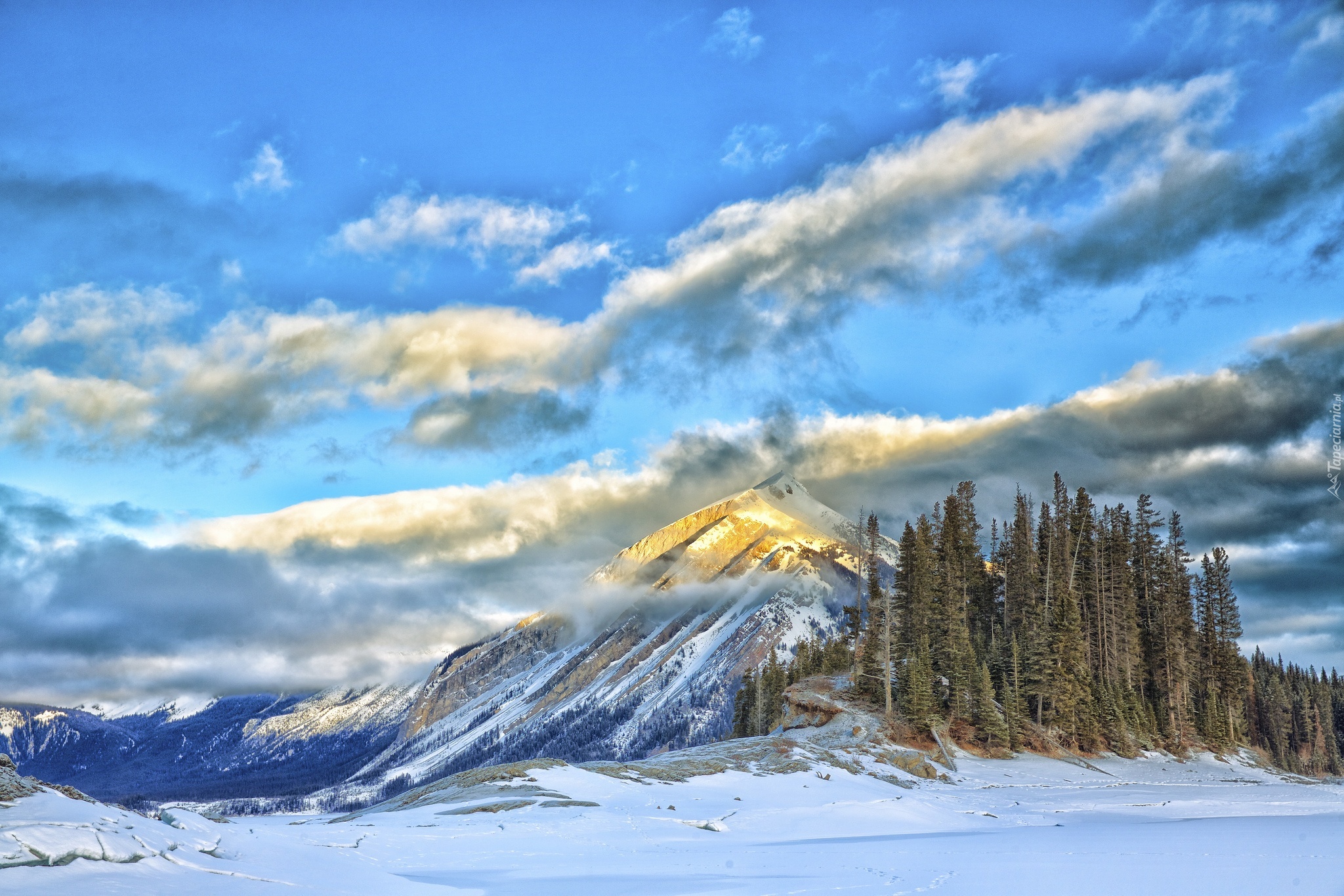 природа горизонт деревья зима горы снег nature horizon trees winter mountains snow загрузить