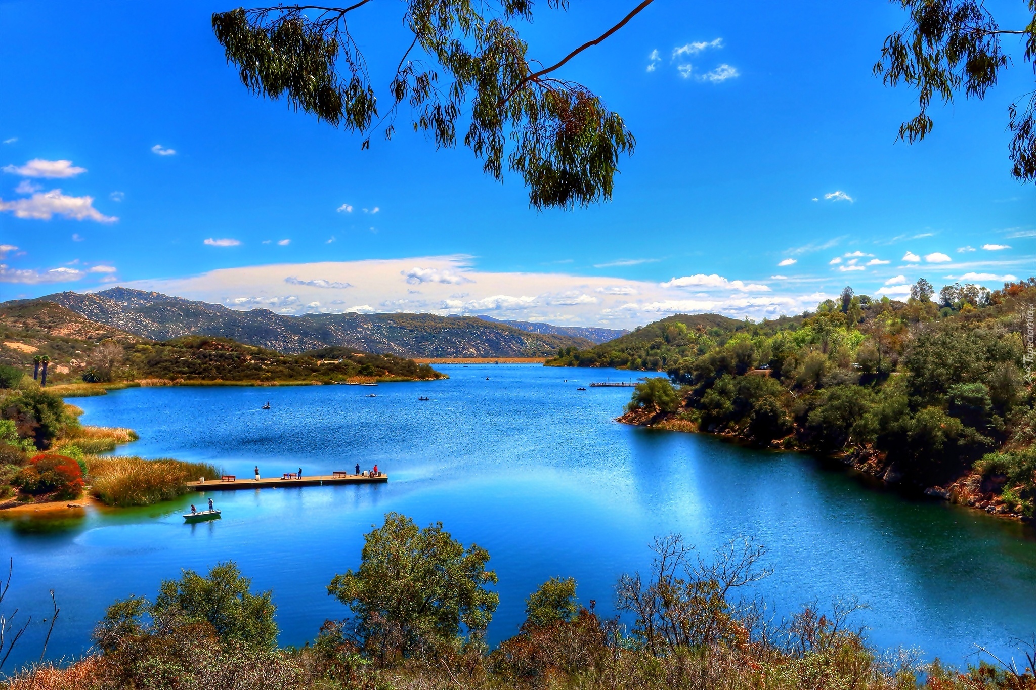Jezioro, Lasy, Kalifornia