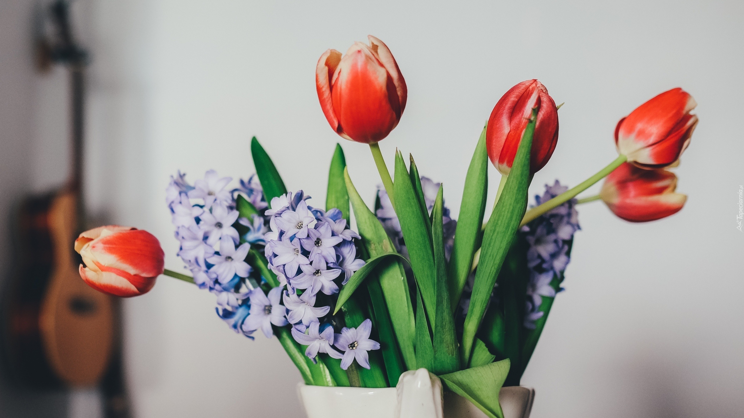 Tulipany, Bez, Kwiaty