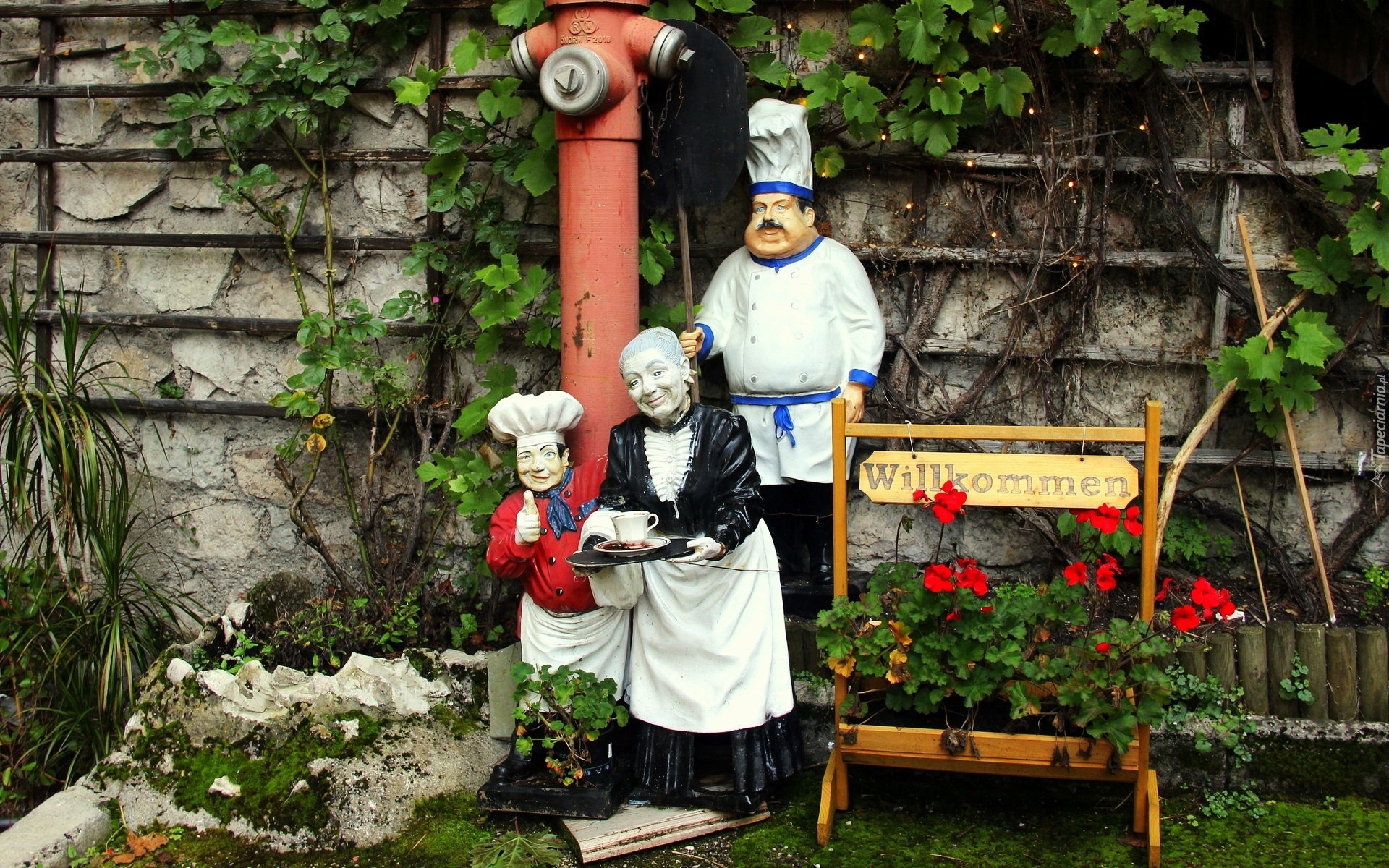 Figury, Kucharz, Gospodyni, Kwiaty, Pelargonie, Ogródek