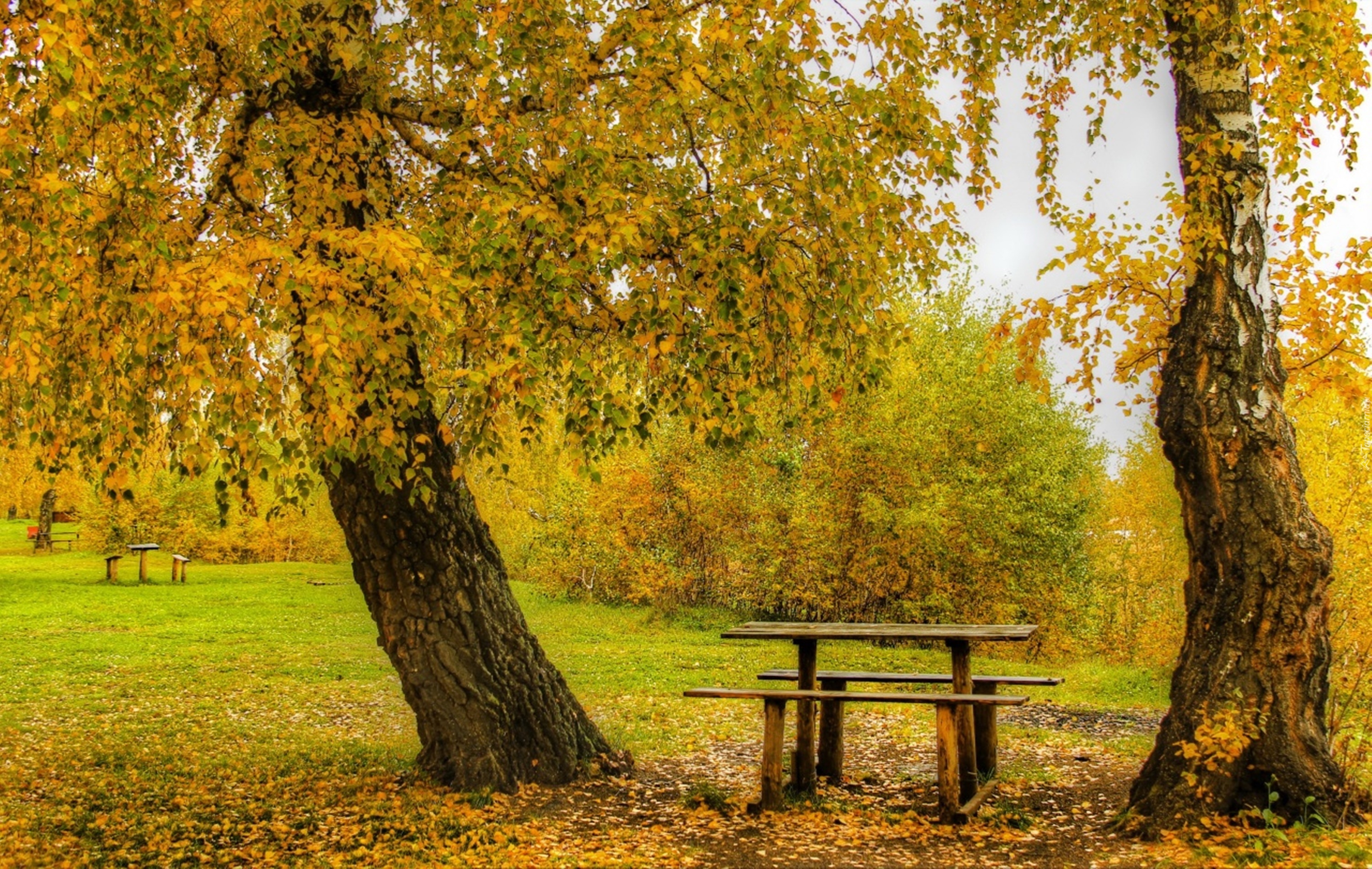 Park, Jesień, Ławka