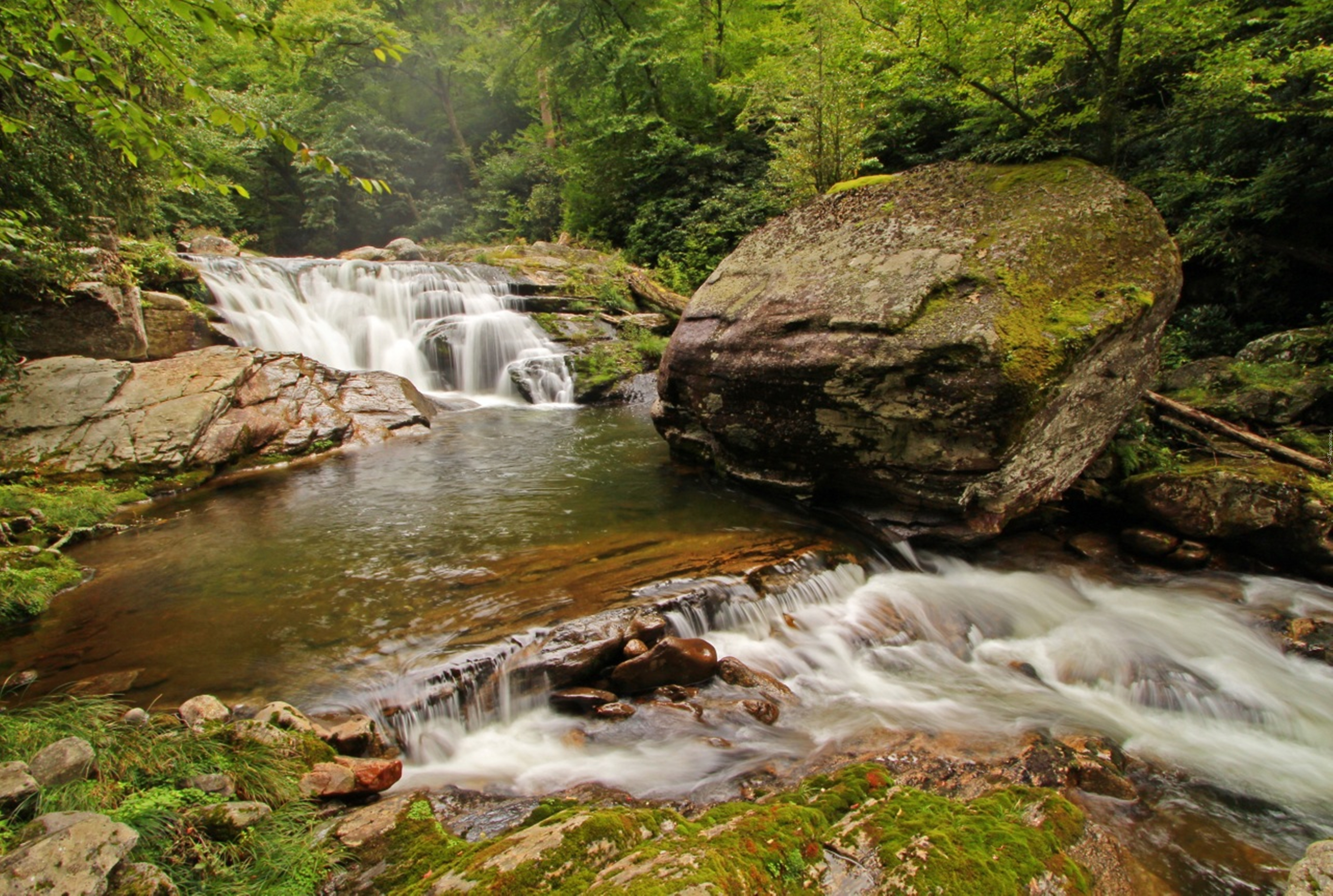 Смоки маунтин. Грейт Смоки Маунтинс. Грейт-Смоки-Маунтинс, США. Smoky Mountains национальный парк. Great Smoky Mountains Park USA.