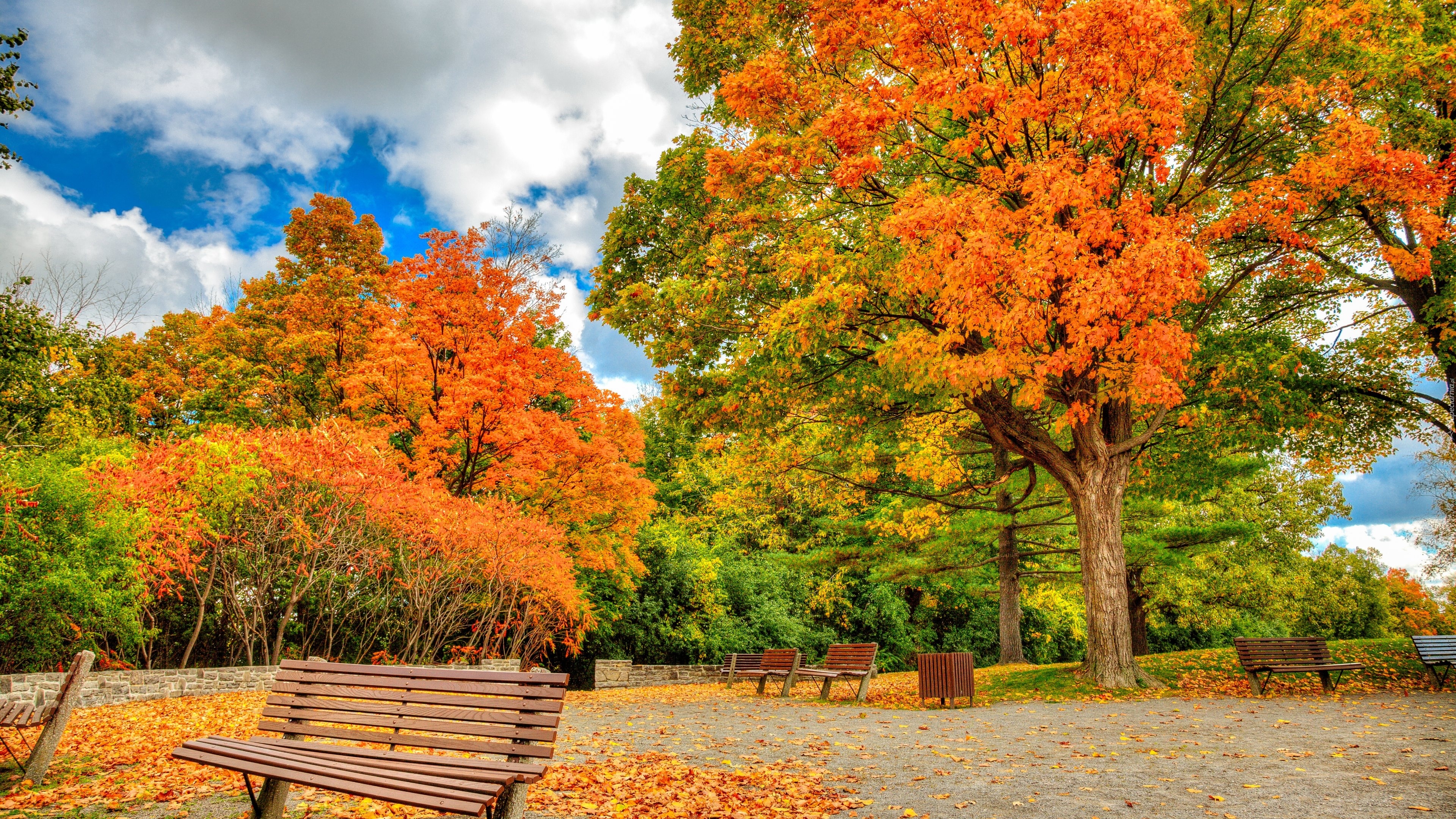 Jesień, Park, Ławki, Drzewa