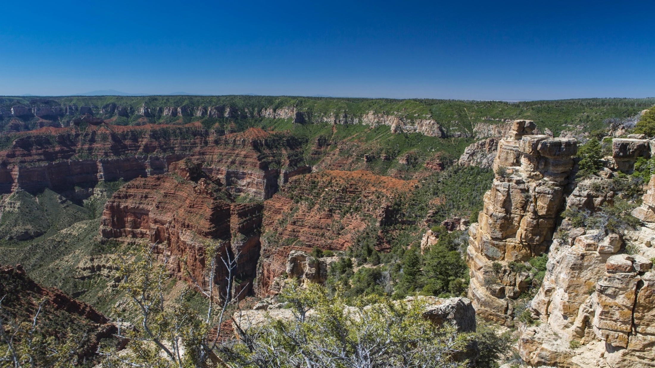 Kanion, Arizona, USA, Park