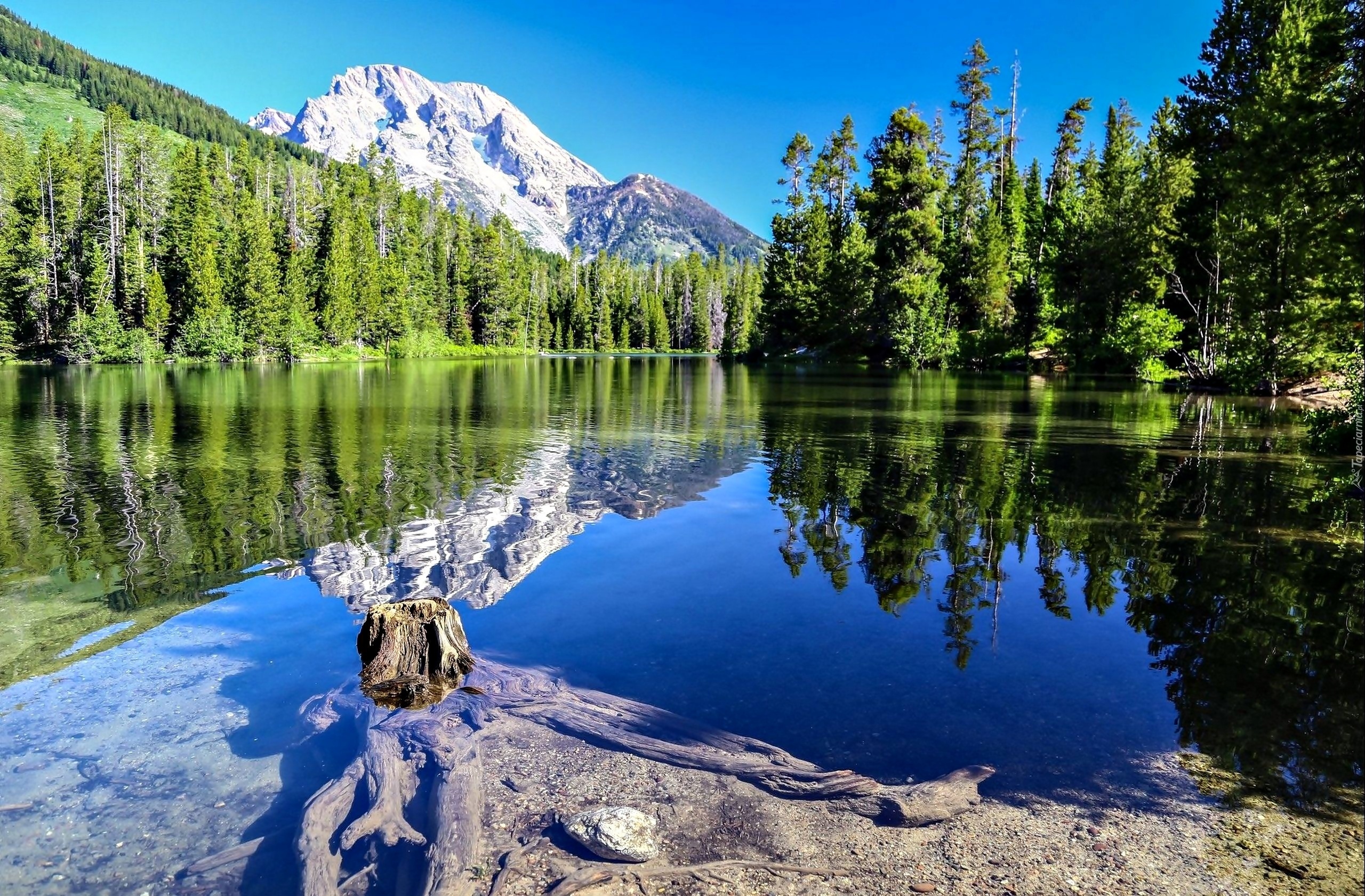 Вся природа и лес и вода. Хобокское озеро Тункинская Долина. Природа река озеро лес горы. Горы реки и озера России. Горное озеро.