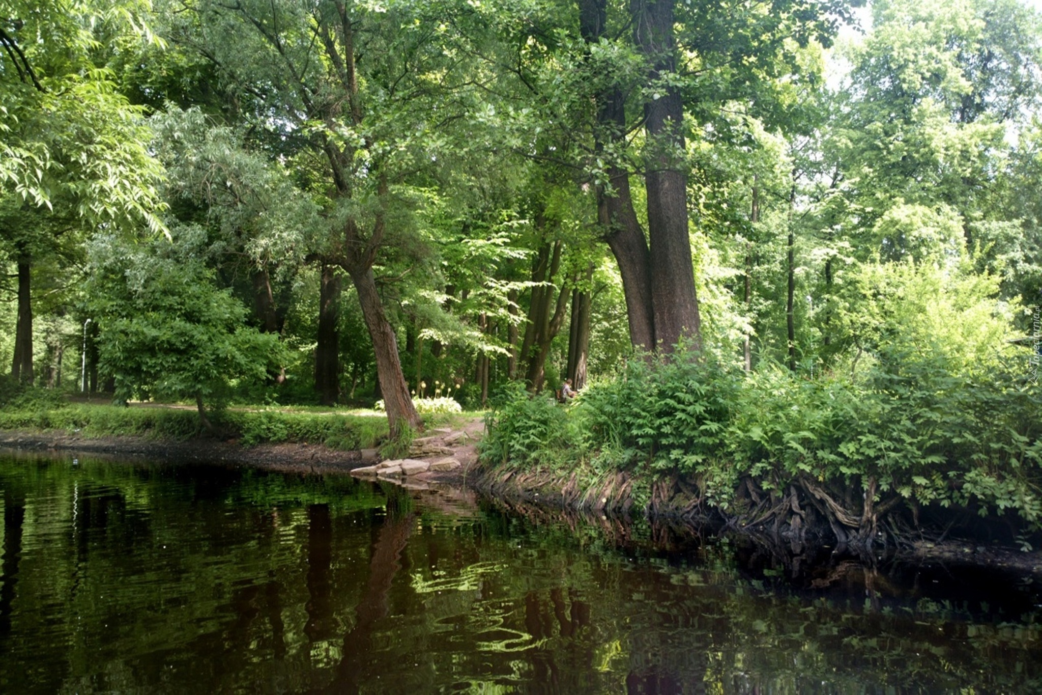 Jezioro, Sankt Petersburg