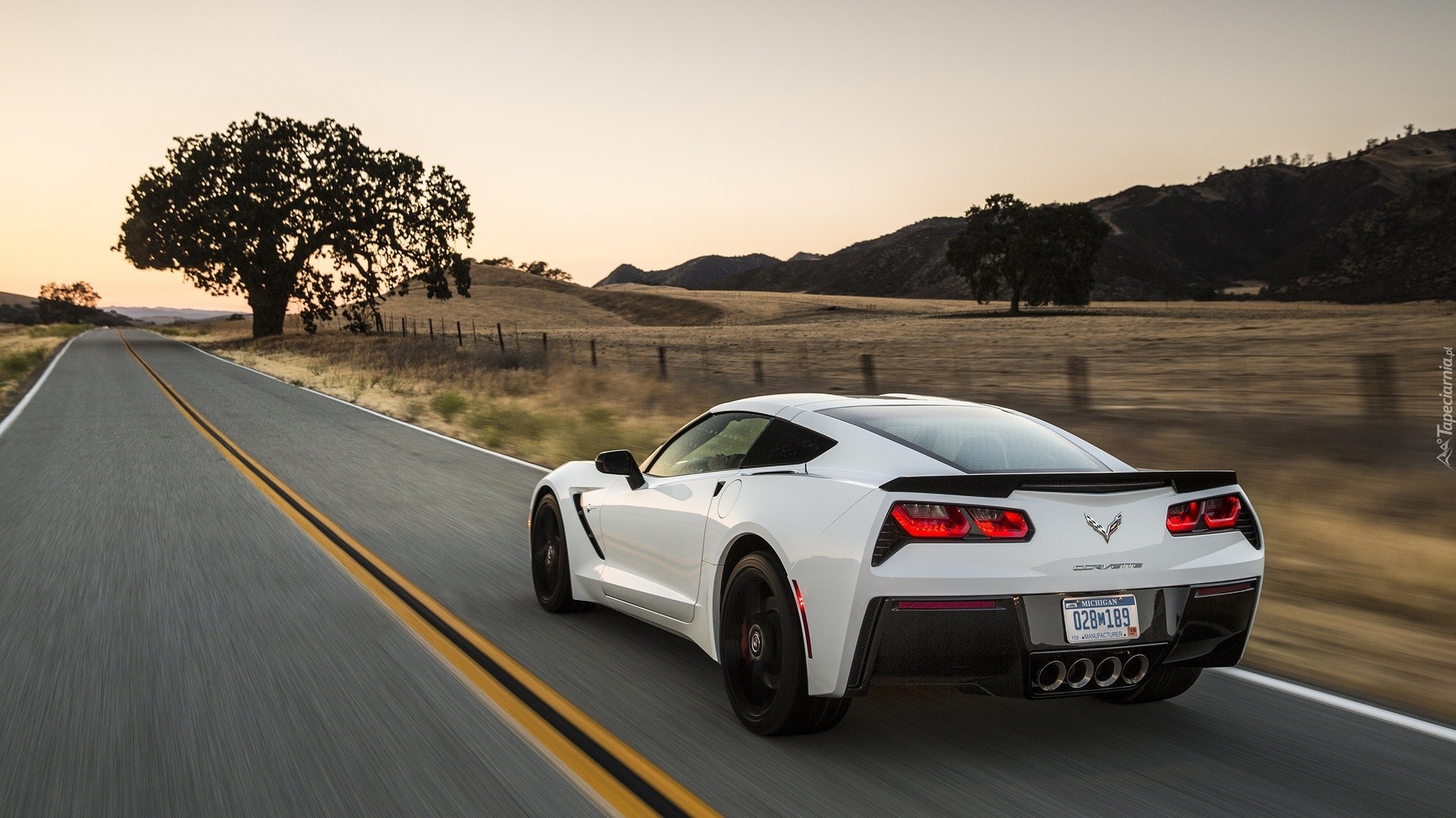 Corvette, C7, Stingray, Biały