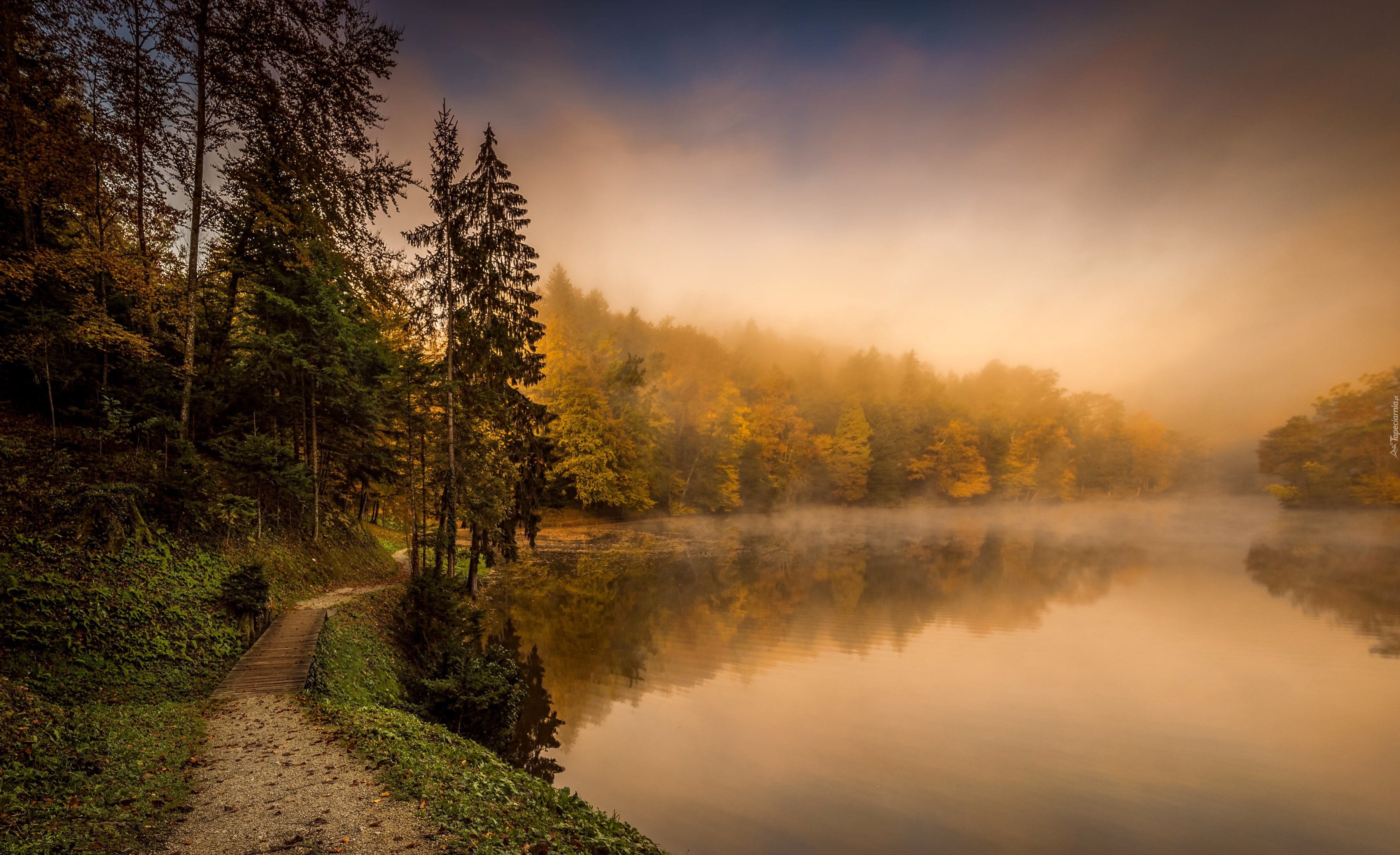 Chorwacja, Jezioro, Las, Mgła