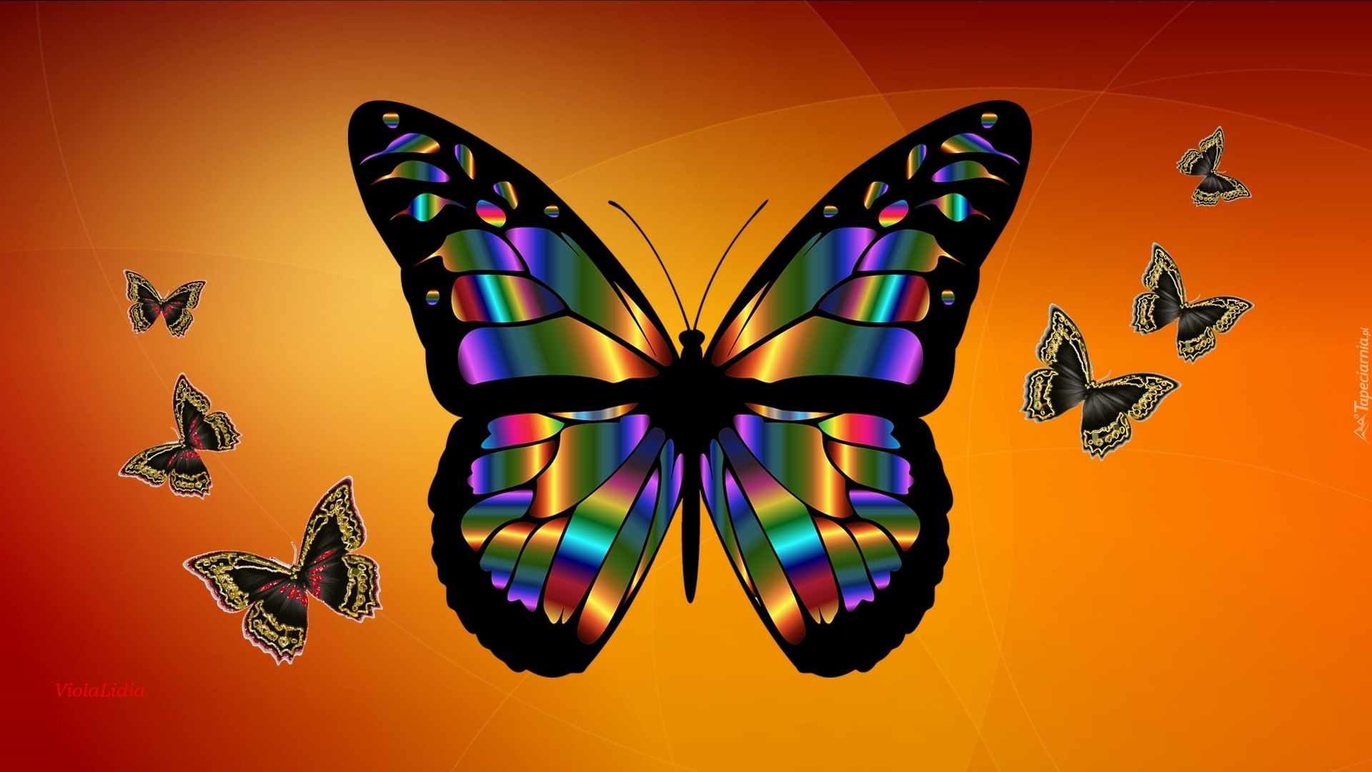 Grafika, Motyl, Motyle