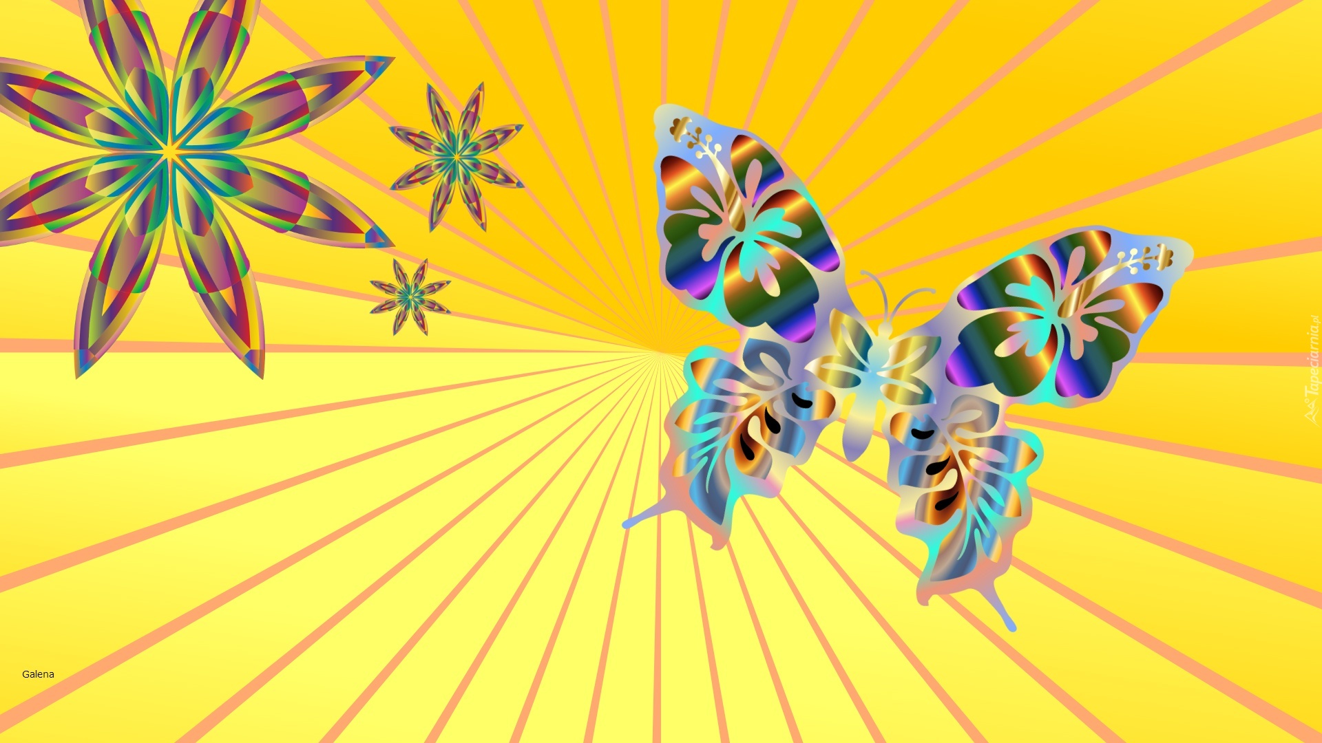 Motyl, Kwiaty, Grafika