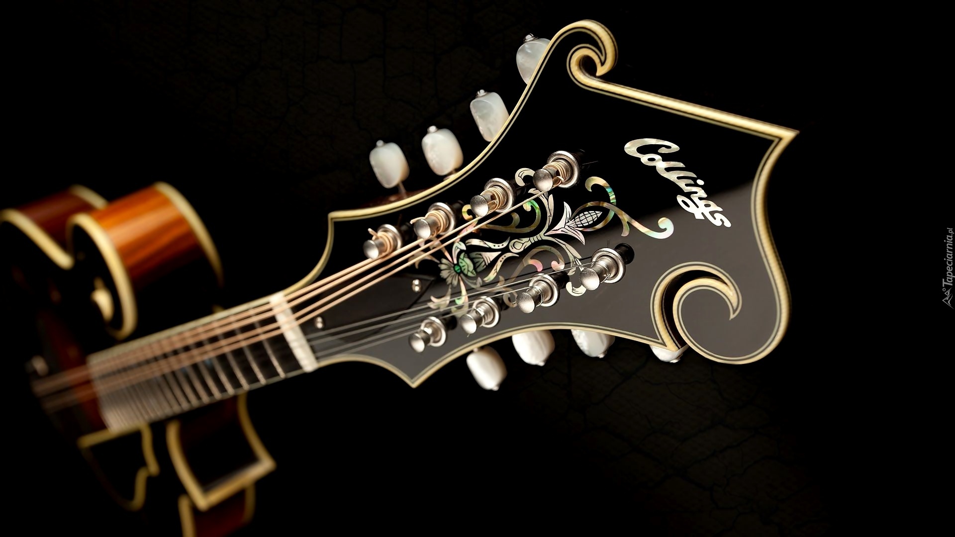 Gitara