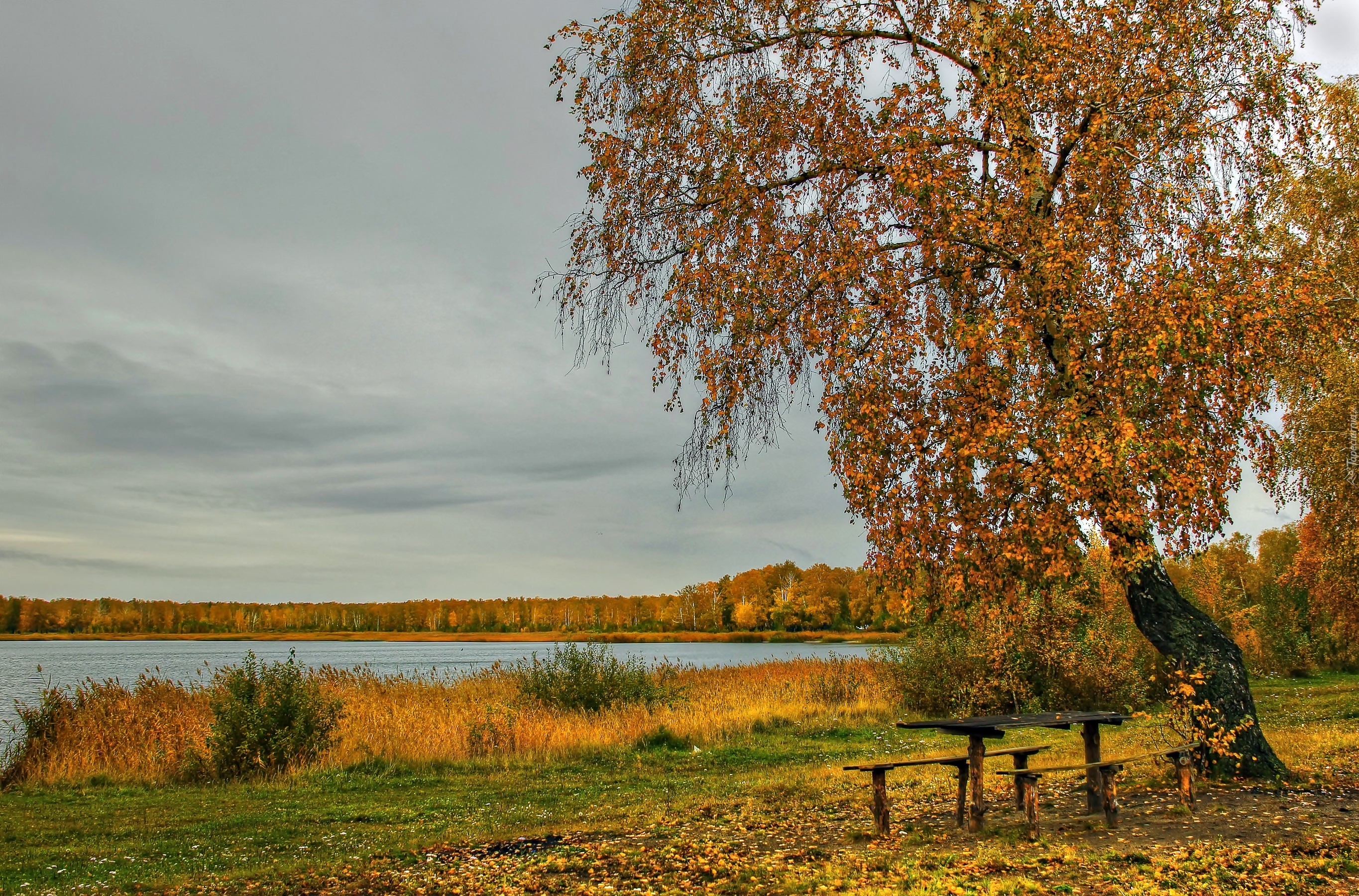 Jesień, Las, Jezioro, Ławeczki