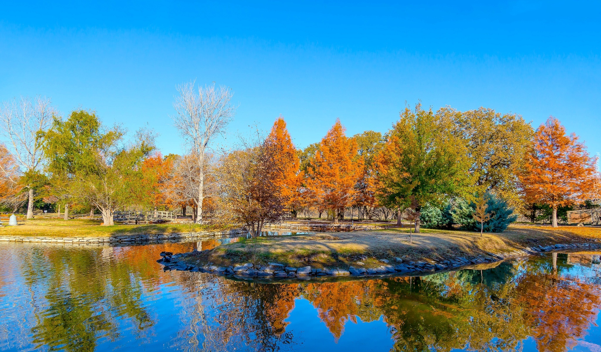 Jesień, Park, Drzewa, Jezioro