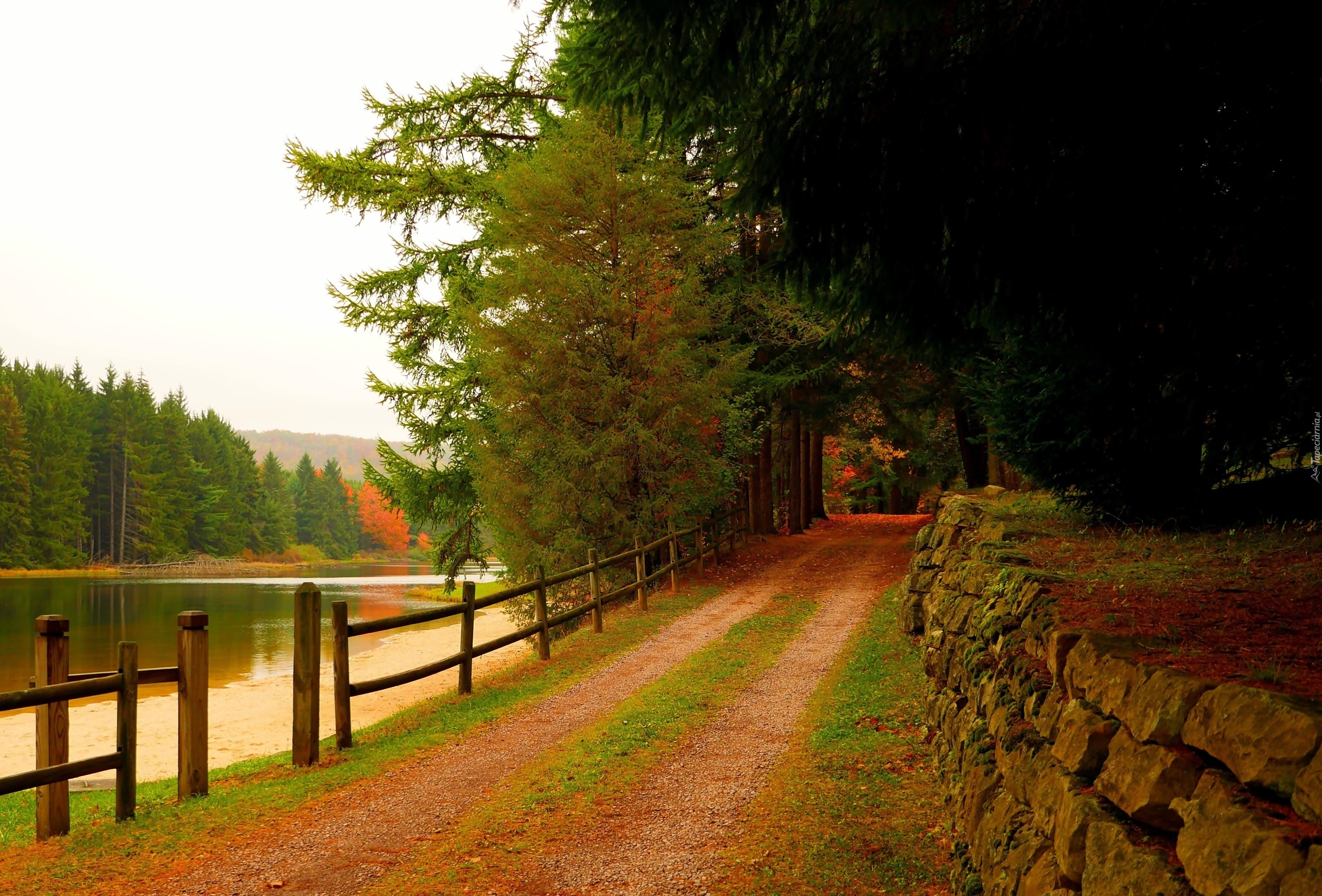 Park, Rzeka