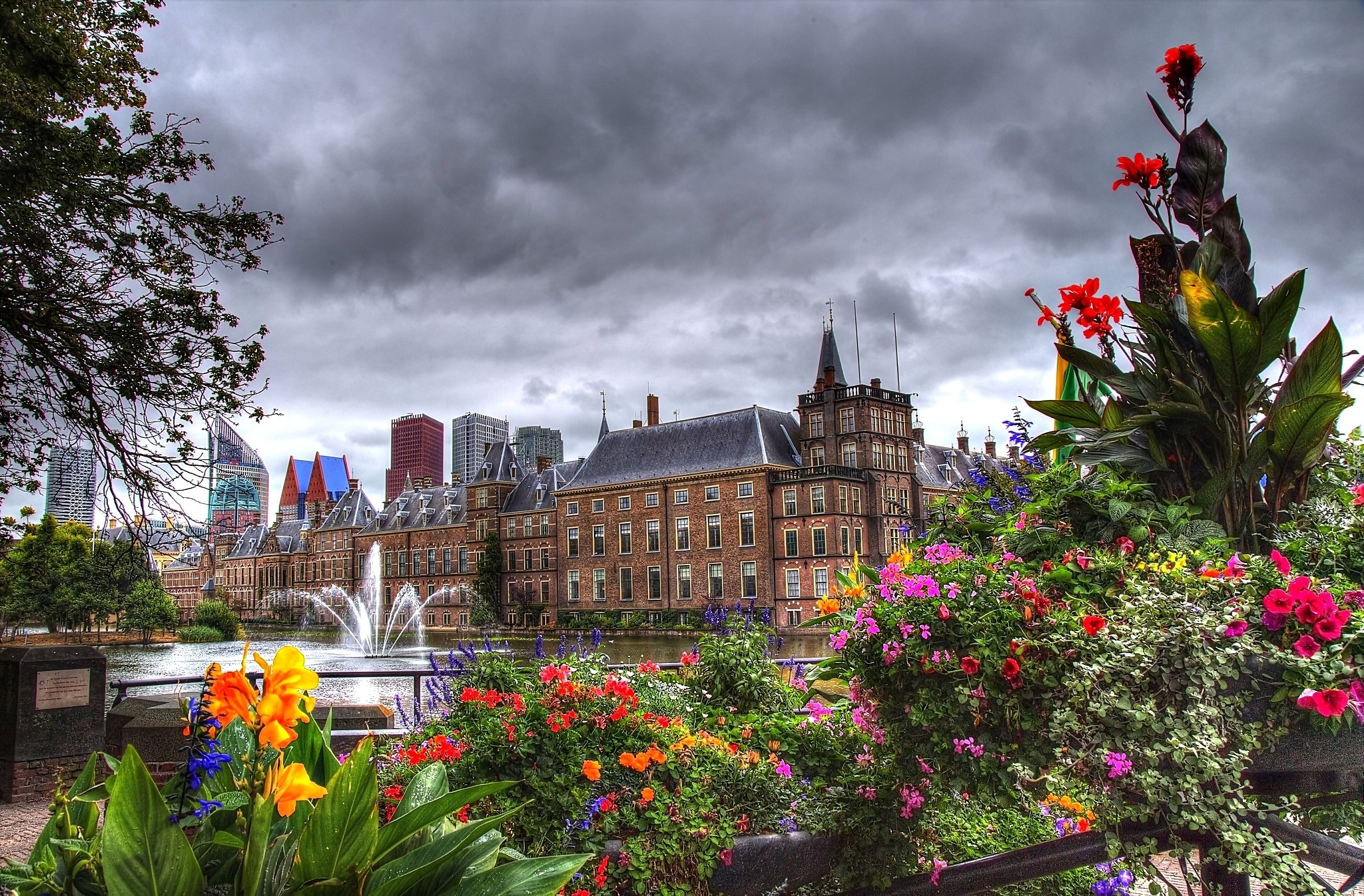 Haga, Miasto, Holandia, Kwiaty