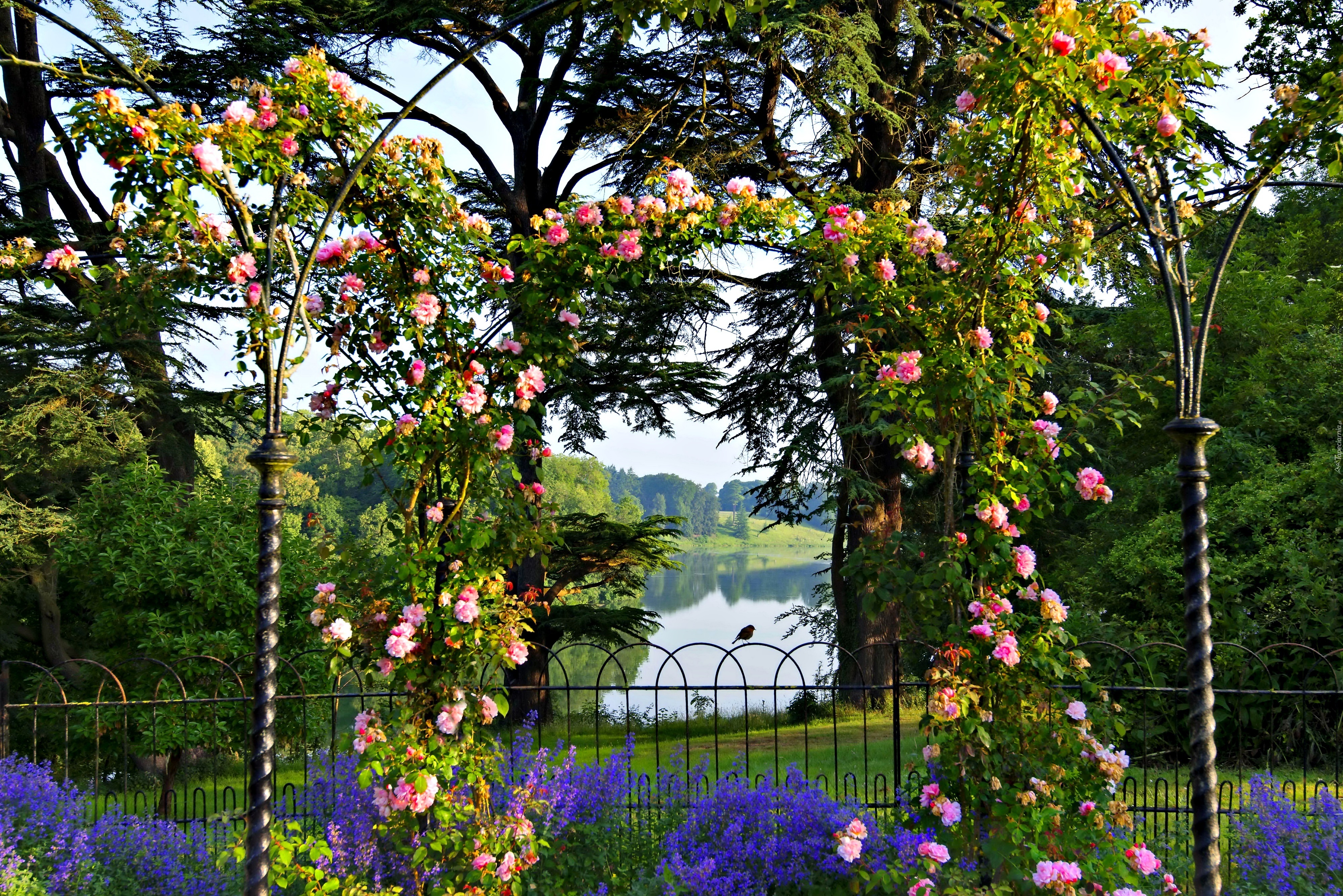 Ogród, Kwiaty, Pergola, Jezioro, Krajobraz