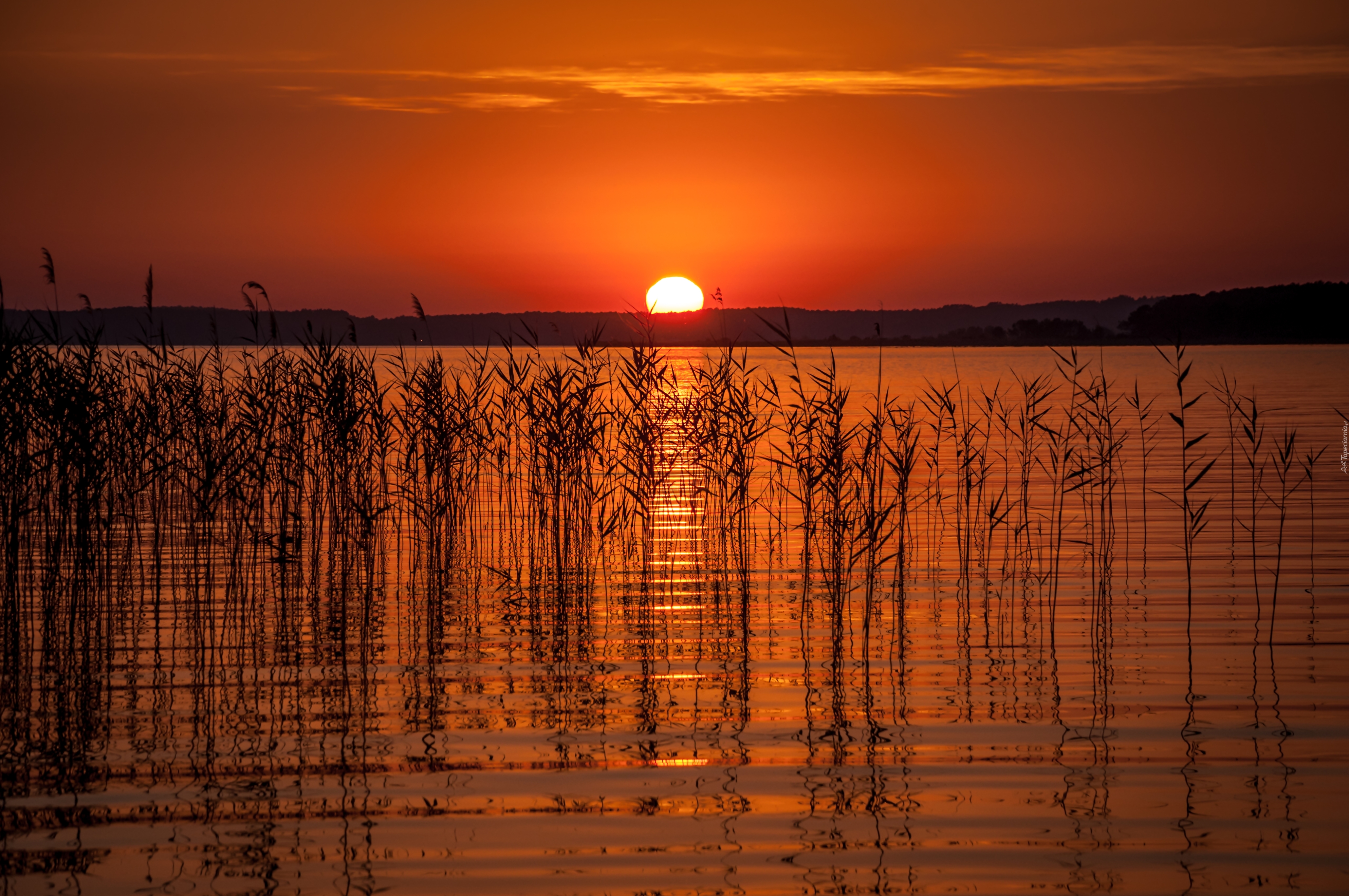 Jezioro, Zachód, Słońca, Trzciny