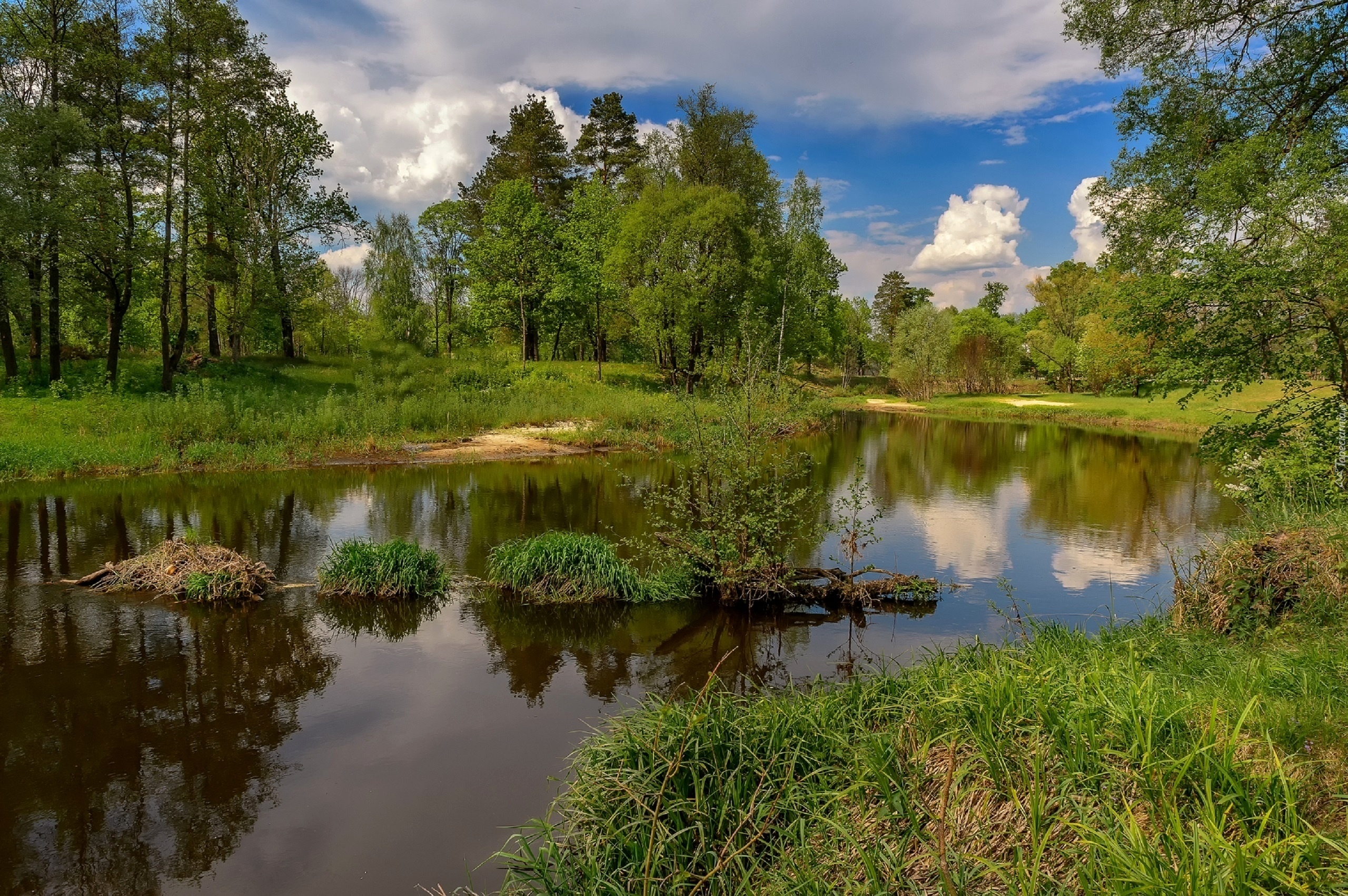 Картинки природы река. Природа река. Река в лесу. Летний пейзаж. Пейзаж с рекой.