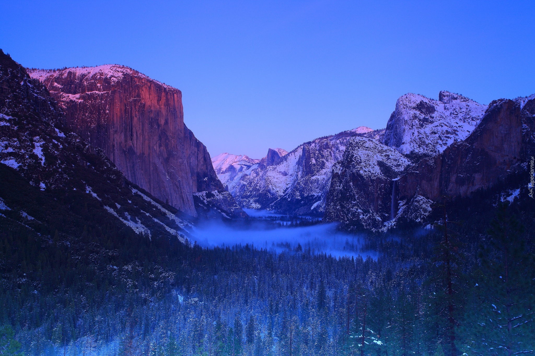 Stany Zjednoczone, Stan Kalifornia, Park Narodowy Yosemite, Góry, Las, Mgła, Zima