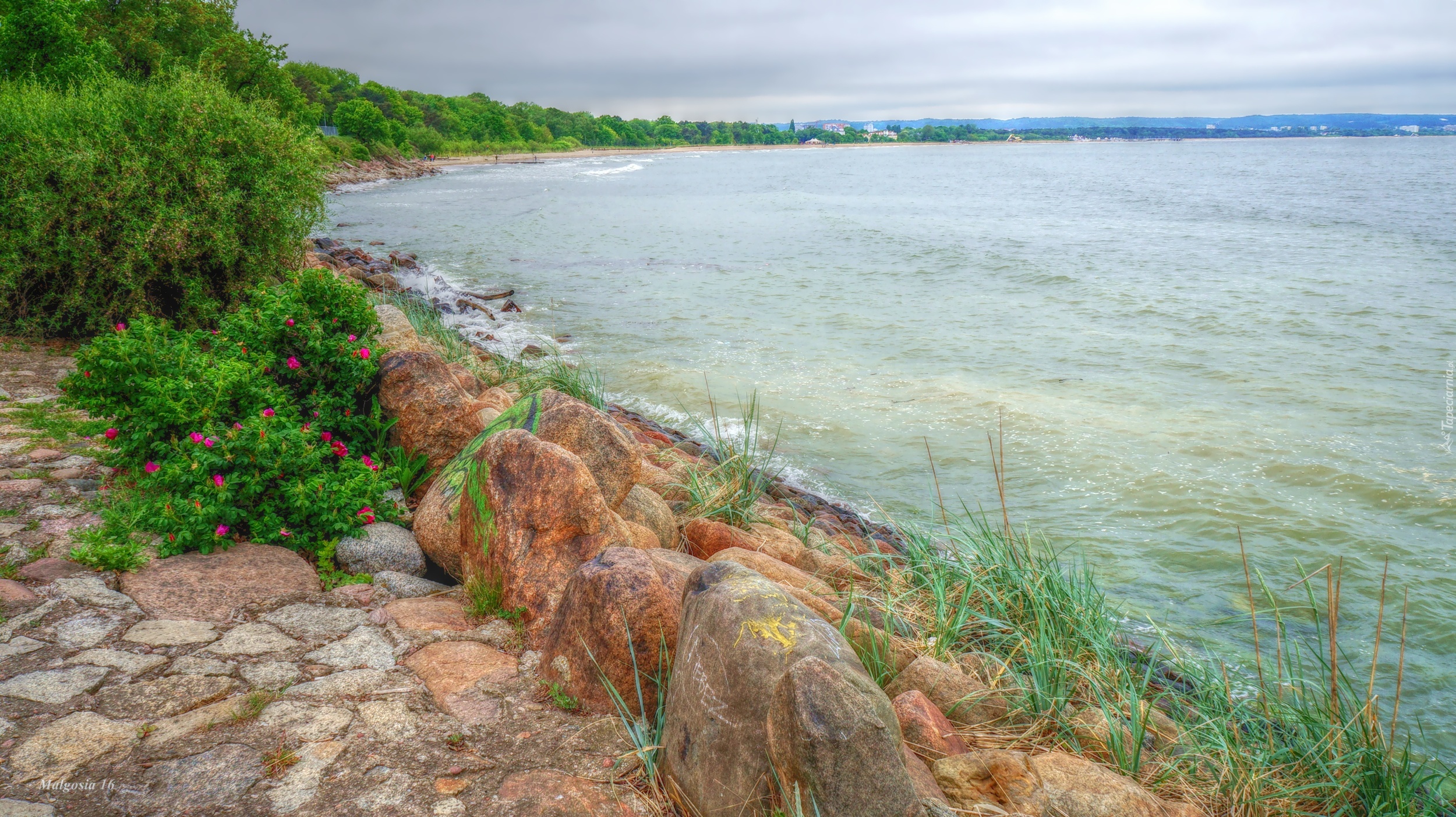 Morze, Bałtyk, Woda, Wybrzeże, Kamienie, Rośliny, HDR