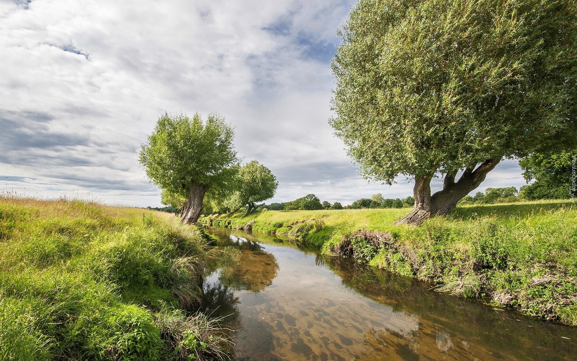 Rzeka, Łąki, Wierzby