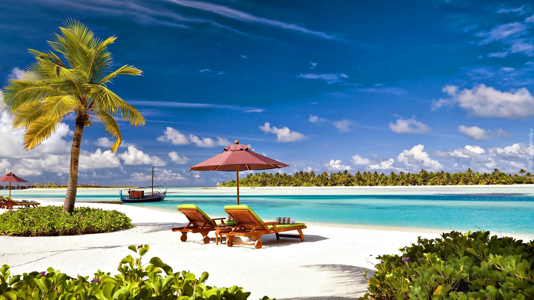 Malediwy, Laguna, Plaża, Palmy, Leżaki,  Wakacje