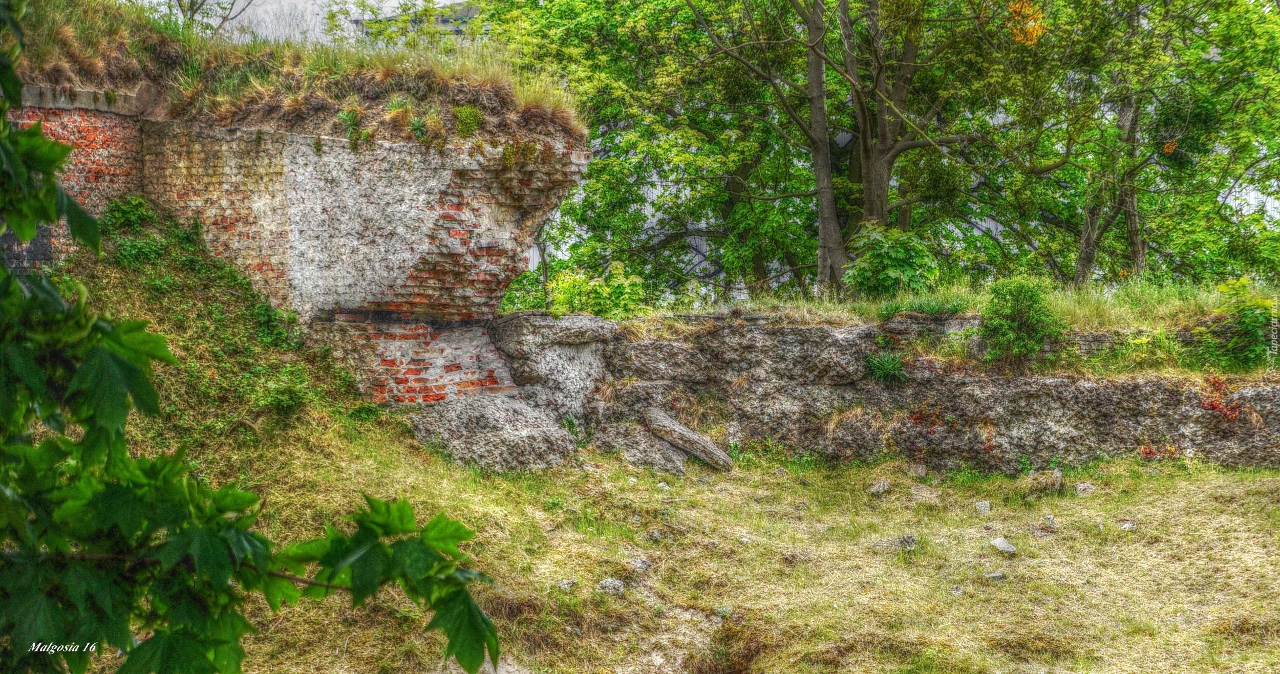 Stary, Mur, Cegły, Ruiny, Zieleń, HDR