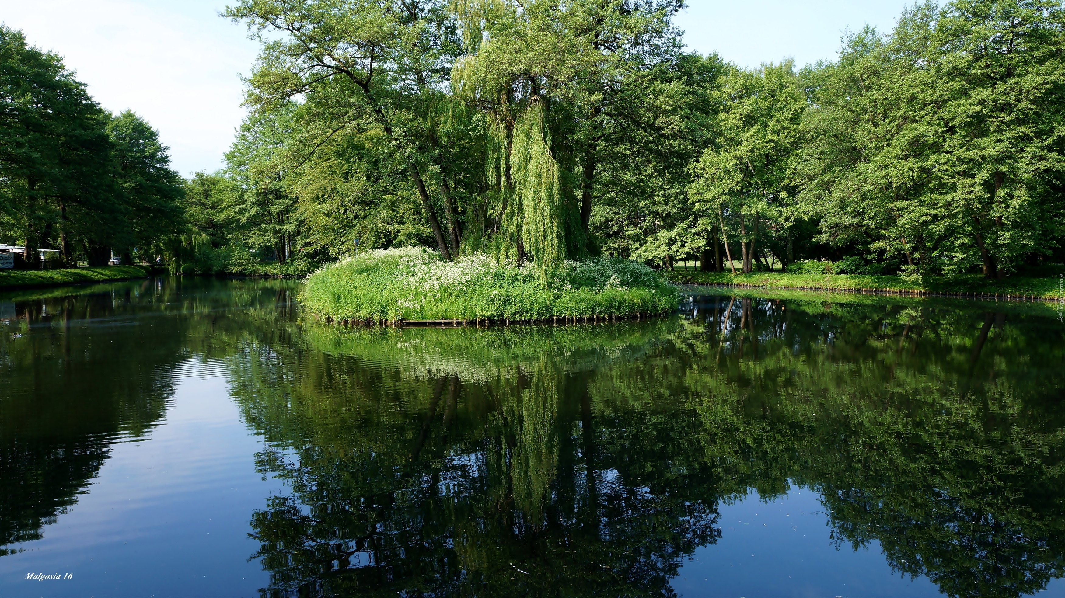 Park, Woda, Jeziorko, Wysepka, Drzewa, Zieleń, Odbicie