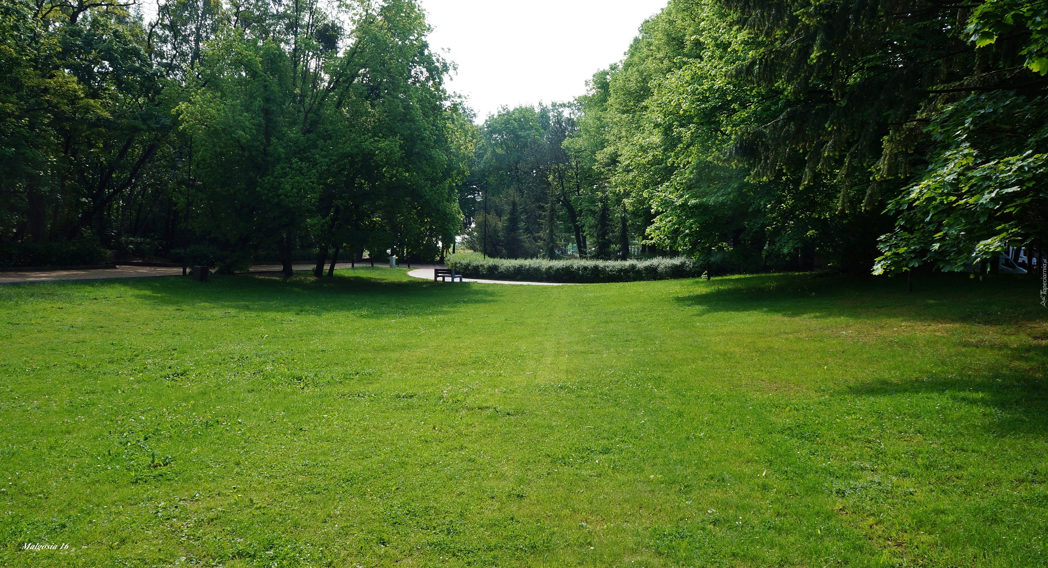 Polska, Gdańsk, Park Jelitkowski, Trawnik, Drzewa, Zieleń