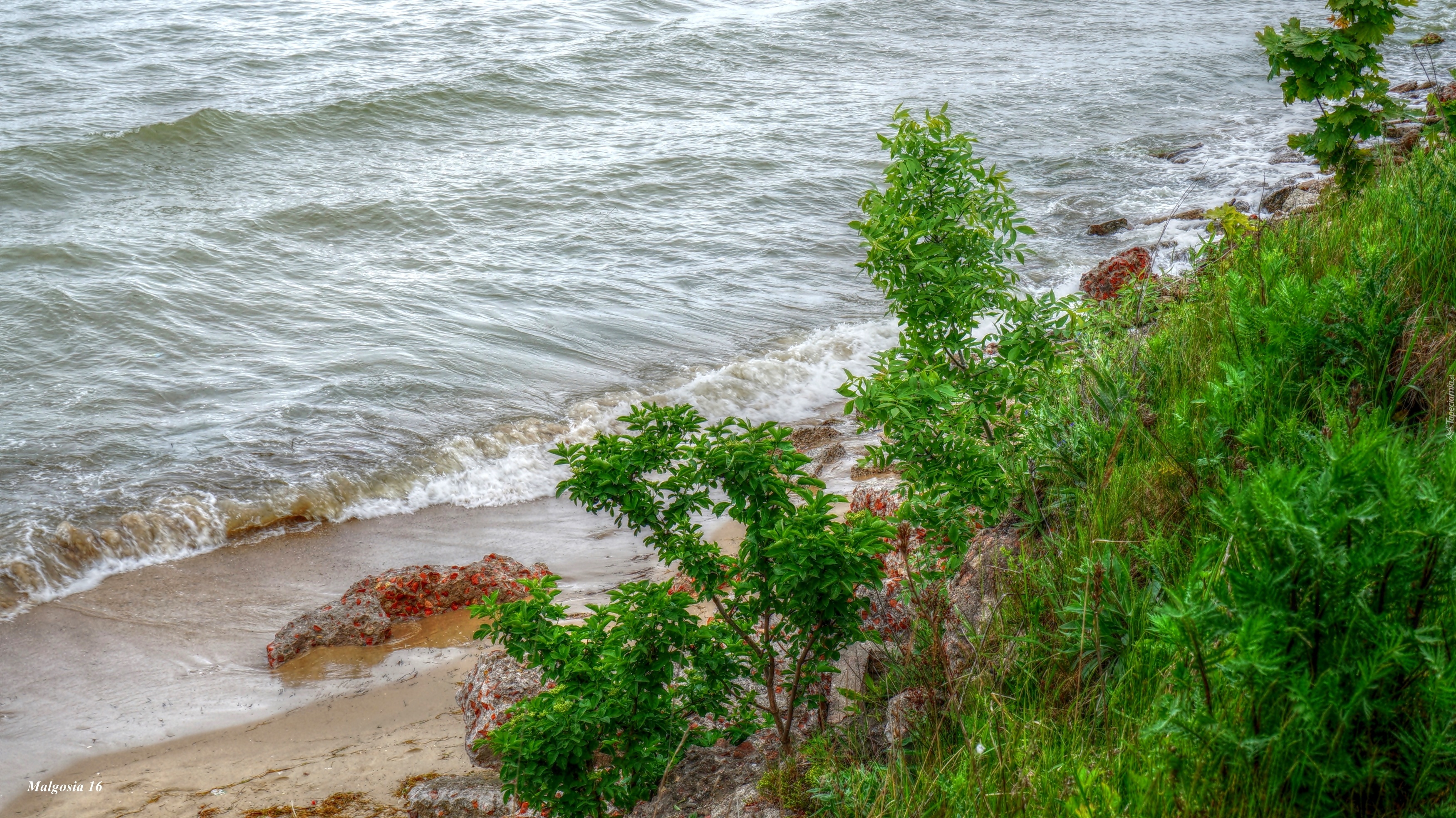 Morze, Woda, Fale, Wybrzeże, Plaża, Rośliny, HDR