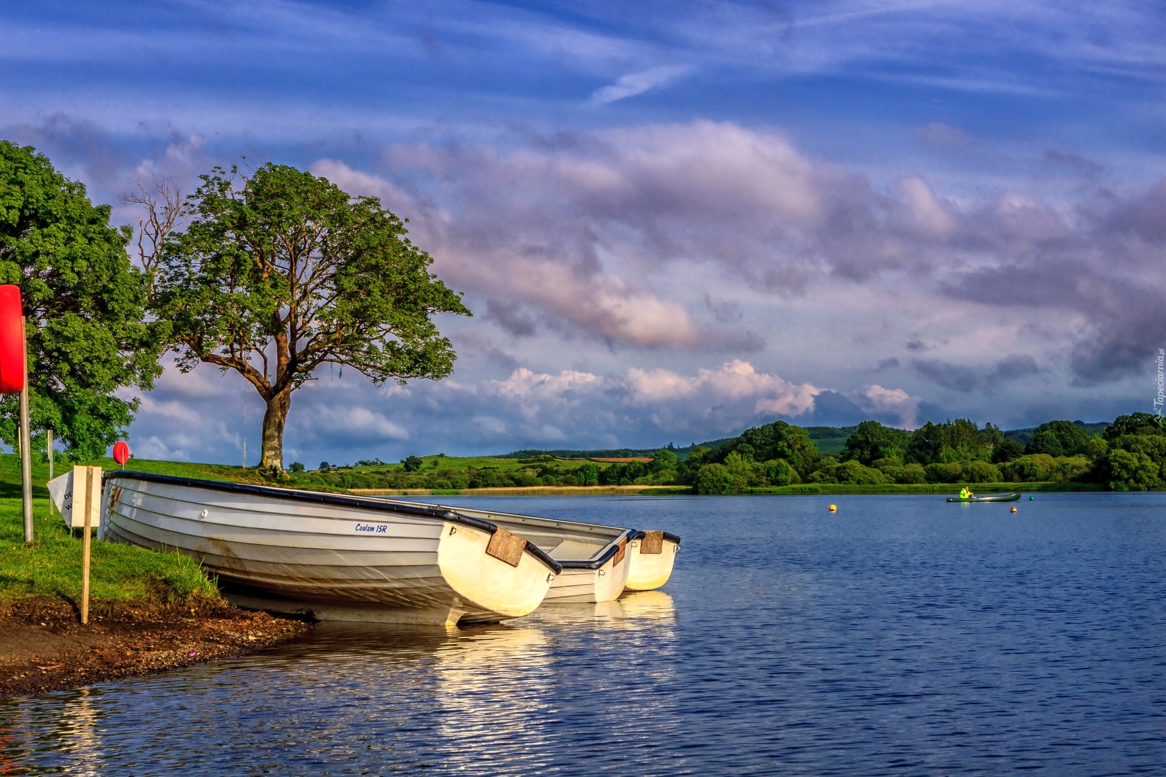 Szkocja, Jezioro Loch Ken, Drzewa, Łódki, Brzeg