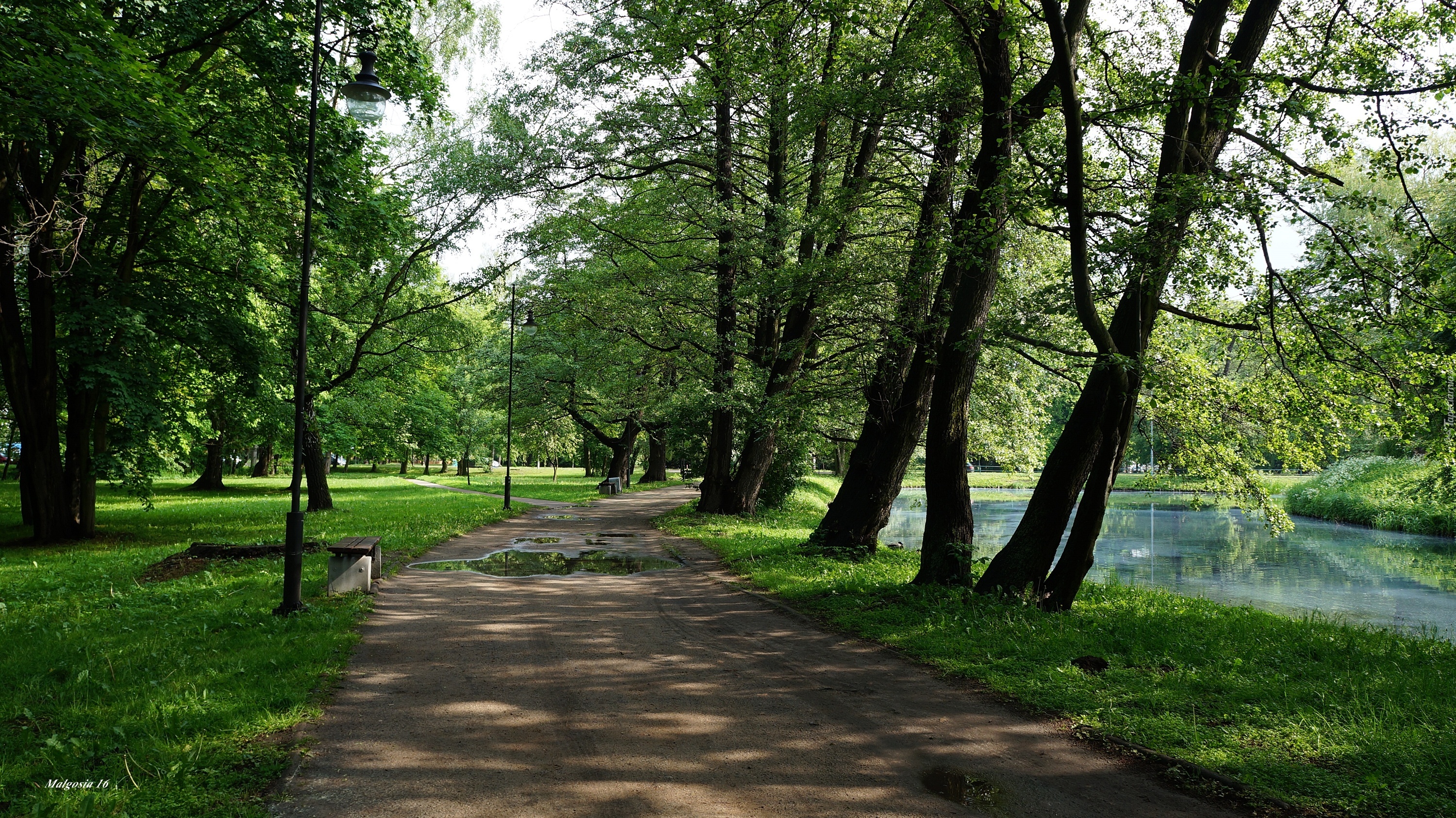 Polska, Gdańsk, Park Jelitkowski, Ścieżka, Droga, Drzewa, Trawnik, Jeziorko