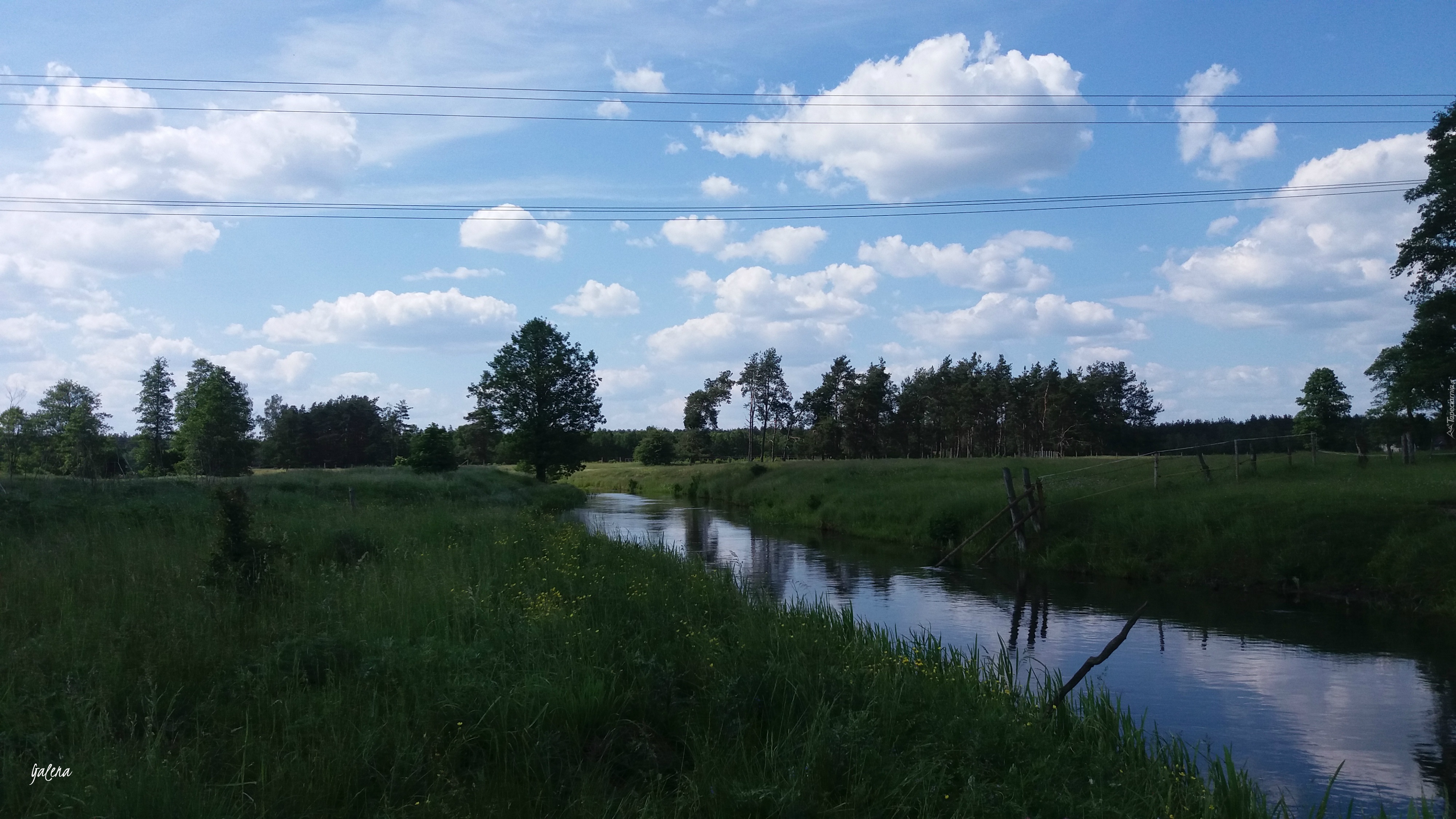 Rzeka, Drzewa, Niebo, Chmury, Łąka