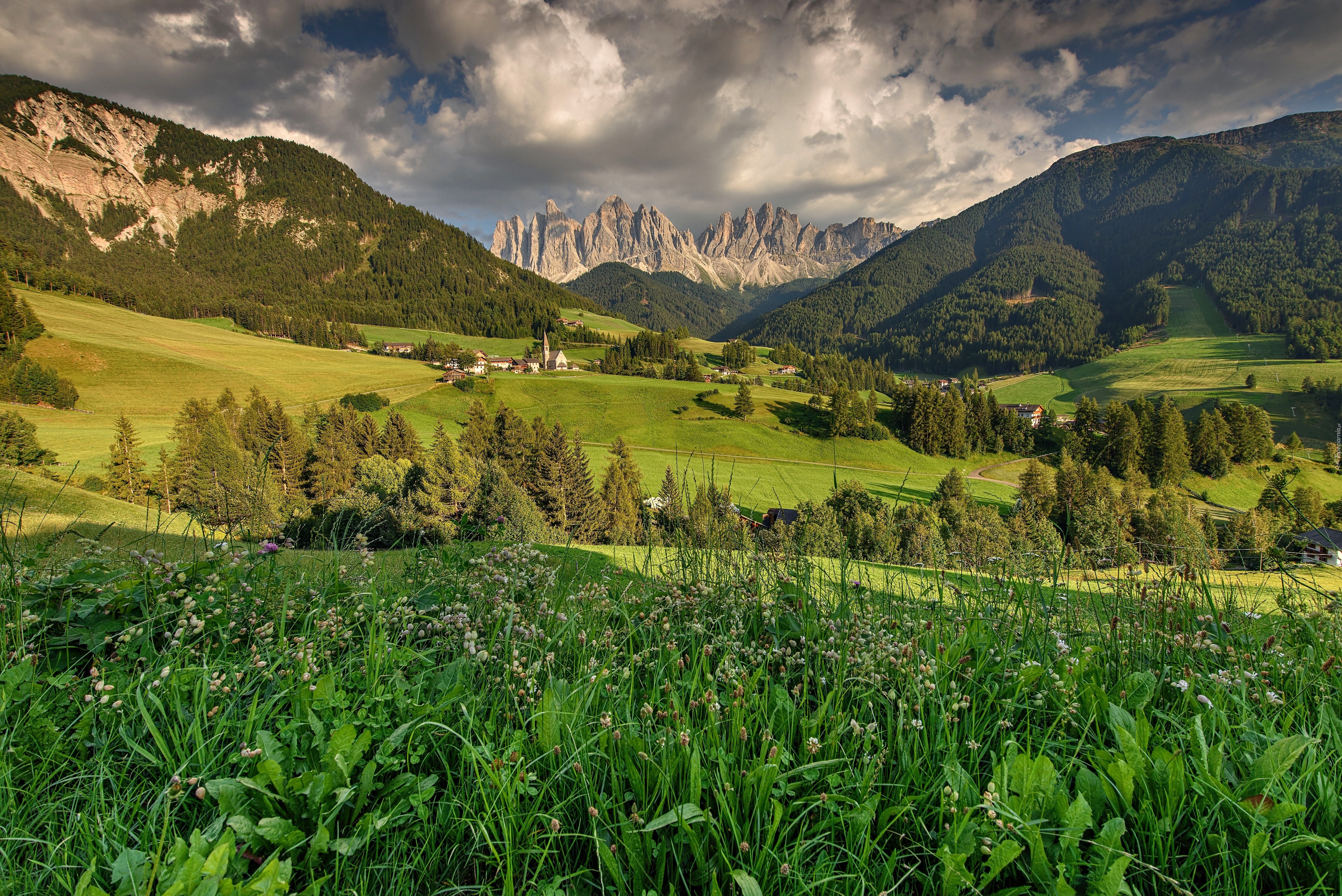 Dolomity, Pola, Łąki, St.Magdalena, Włochy