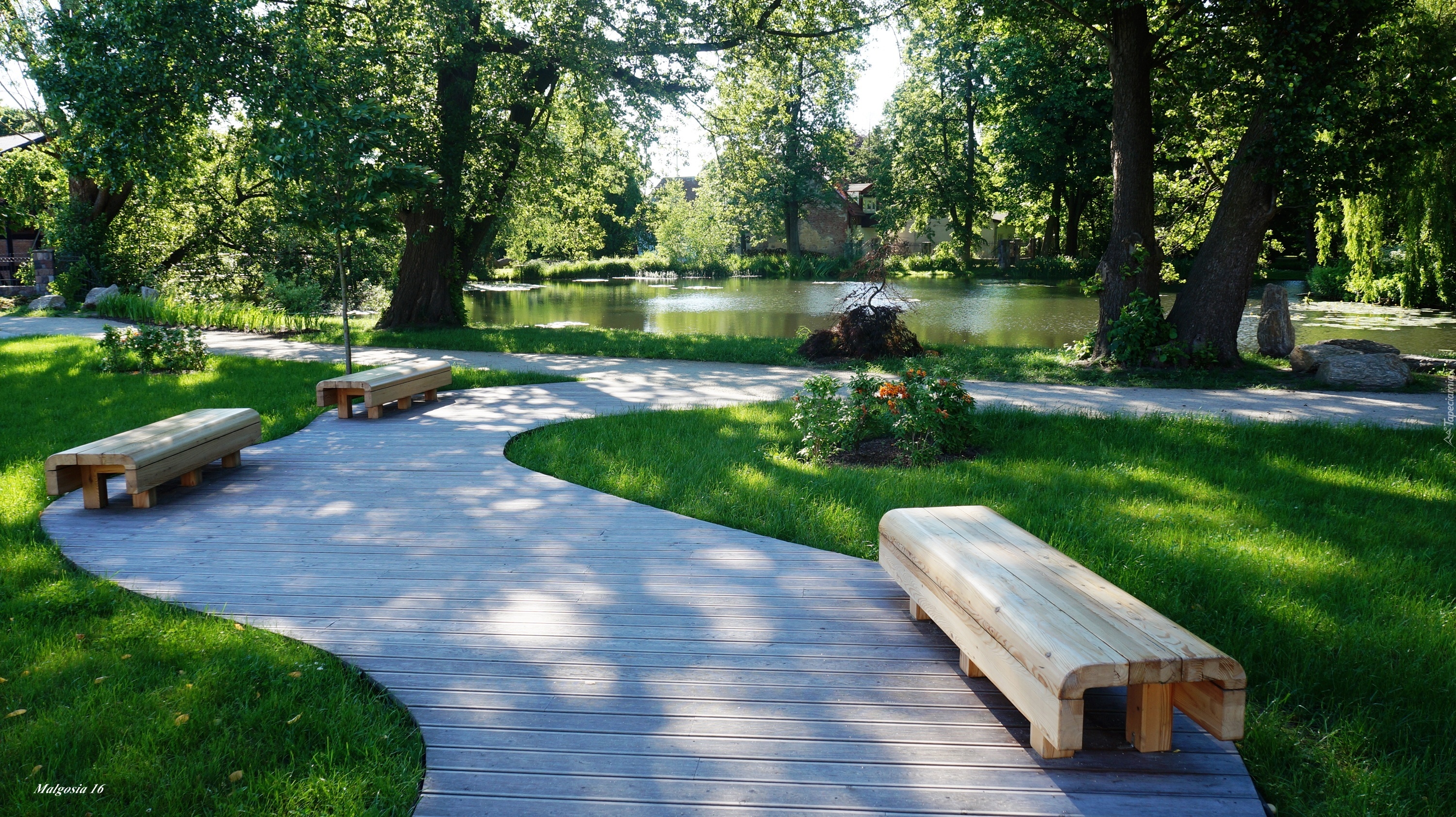 Park, Ścieżka, Ławeczki, Drzewa, Jeziorko, Zieleń