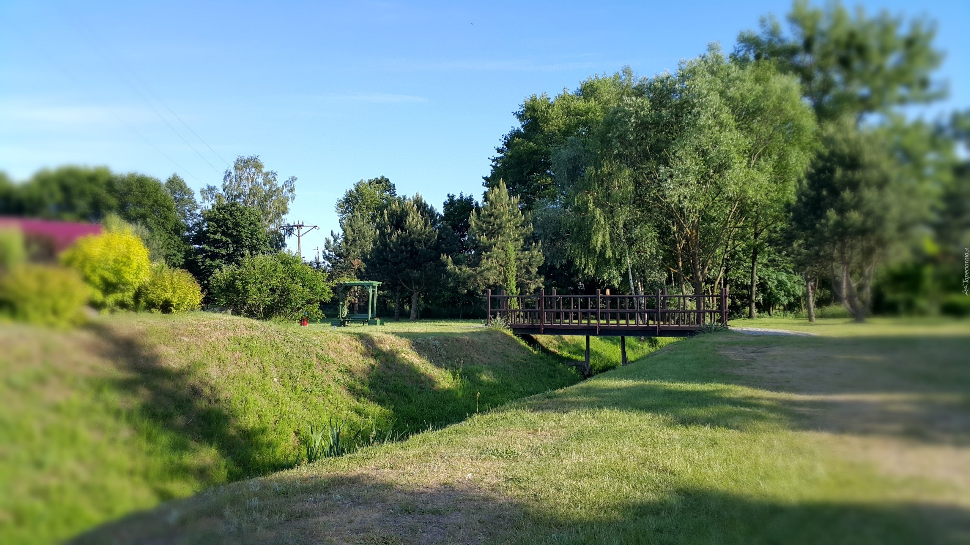 Park, Mostek, Drzewa, Rzeczka